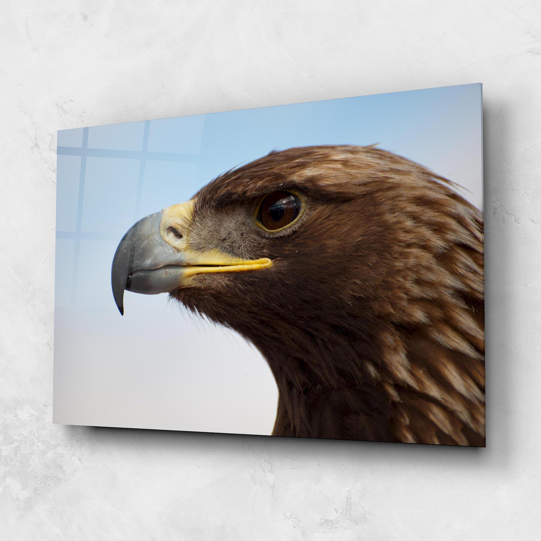 Glasbild Brown Head Eagle mockup 1