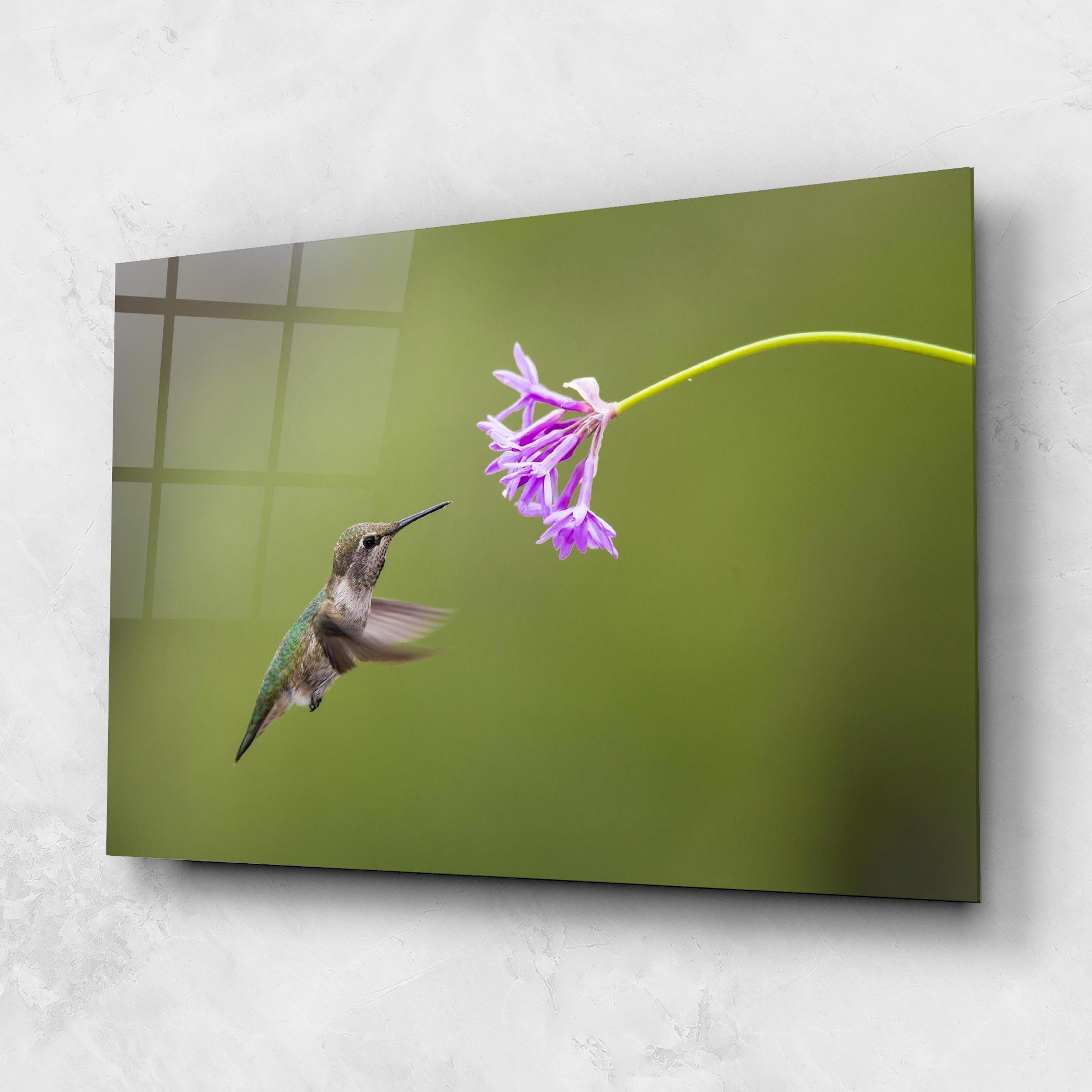 Glasbild Cute Hummingbird mockup 1