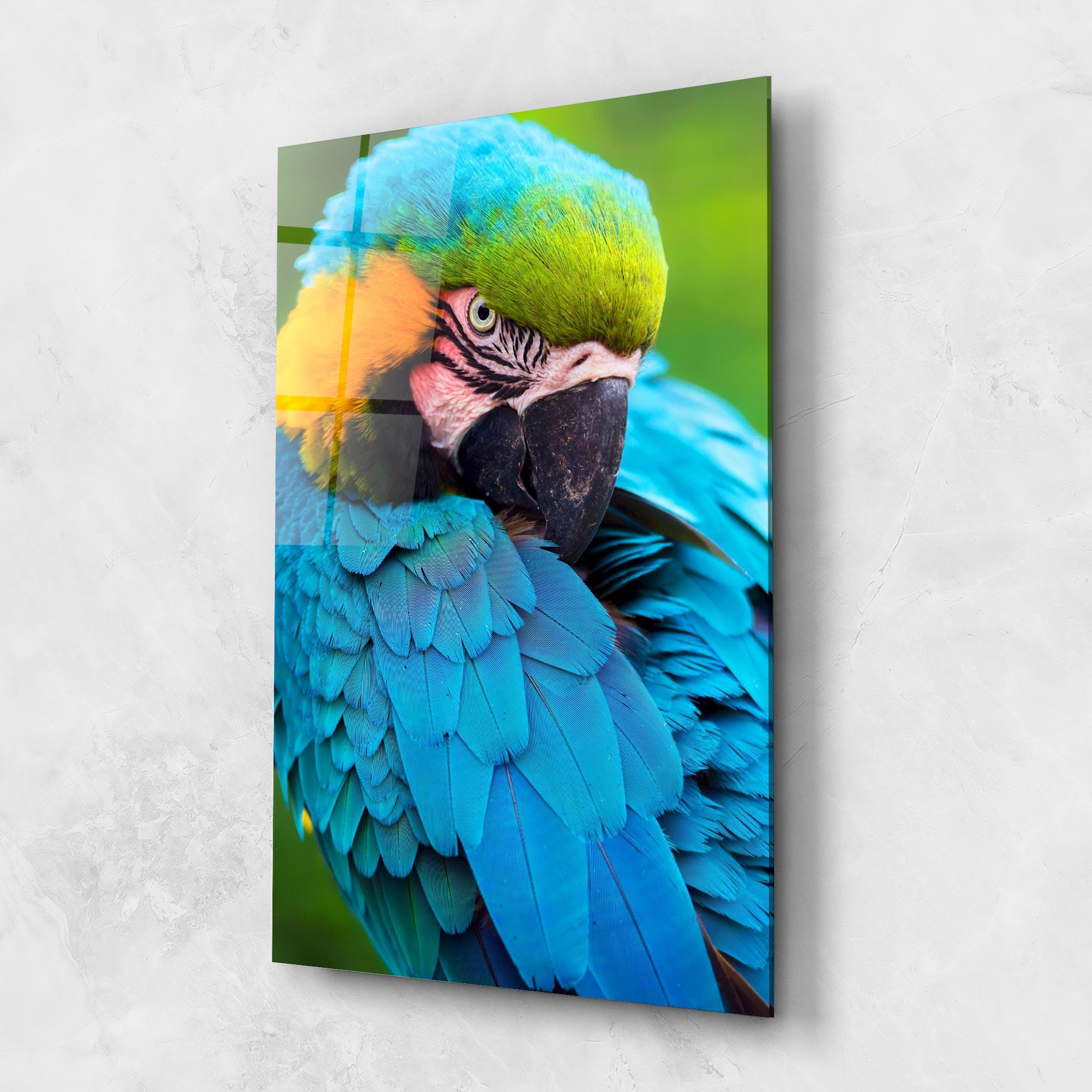 Glasbild Blue Parrot mockup 1