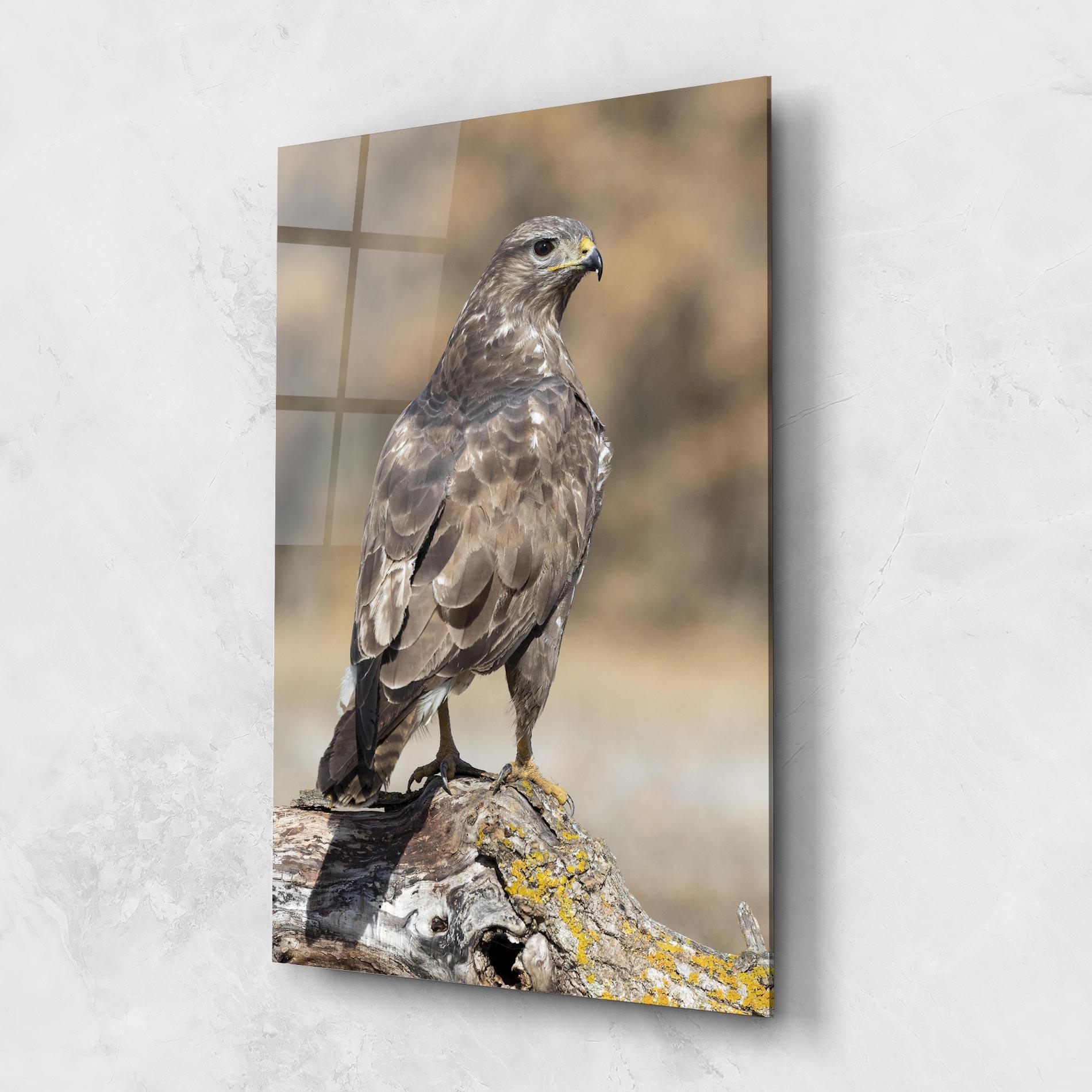 Glasbild Eagle Nature mockup 1