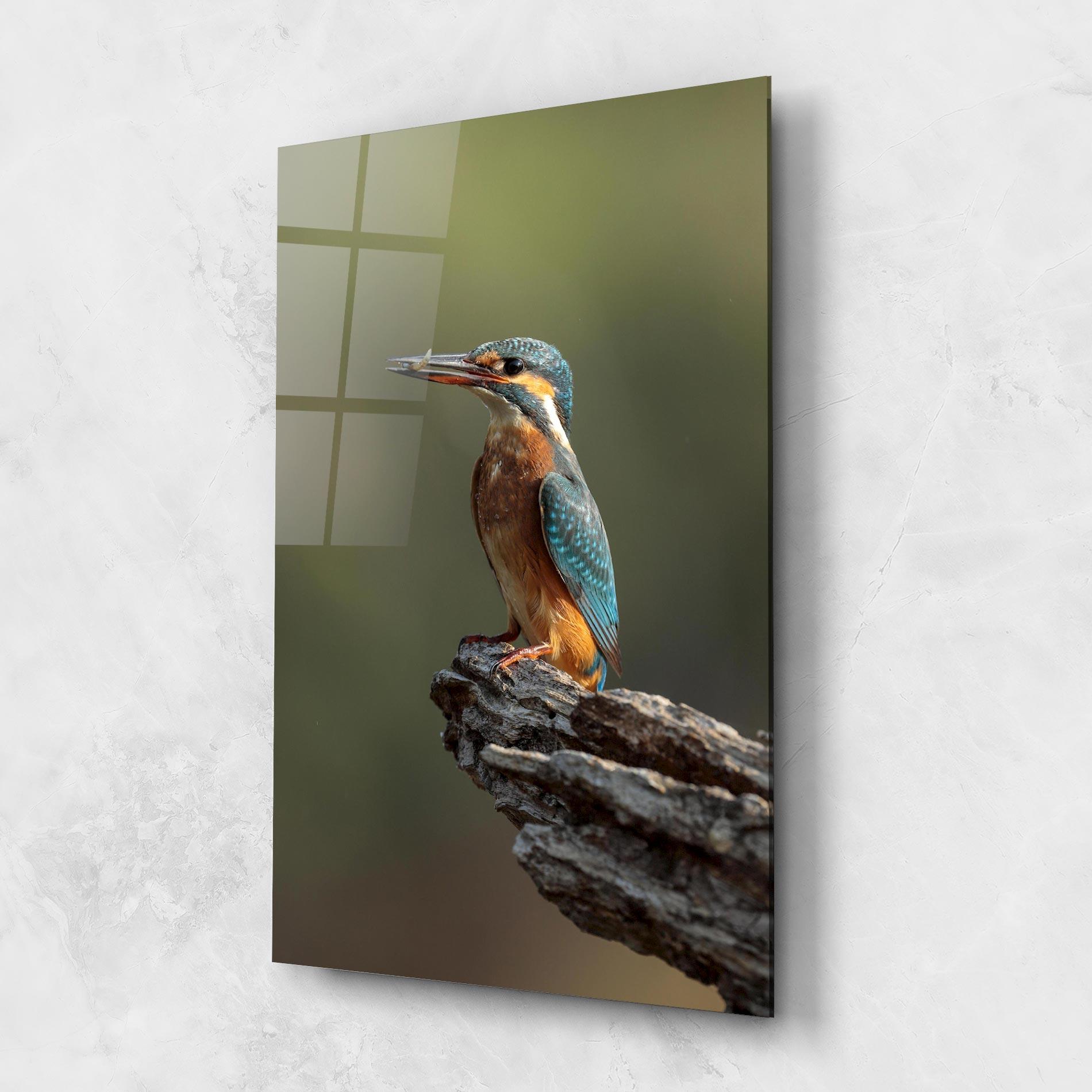 Glasbild Female Kingfisher mockup 1