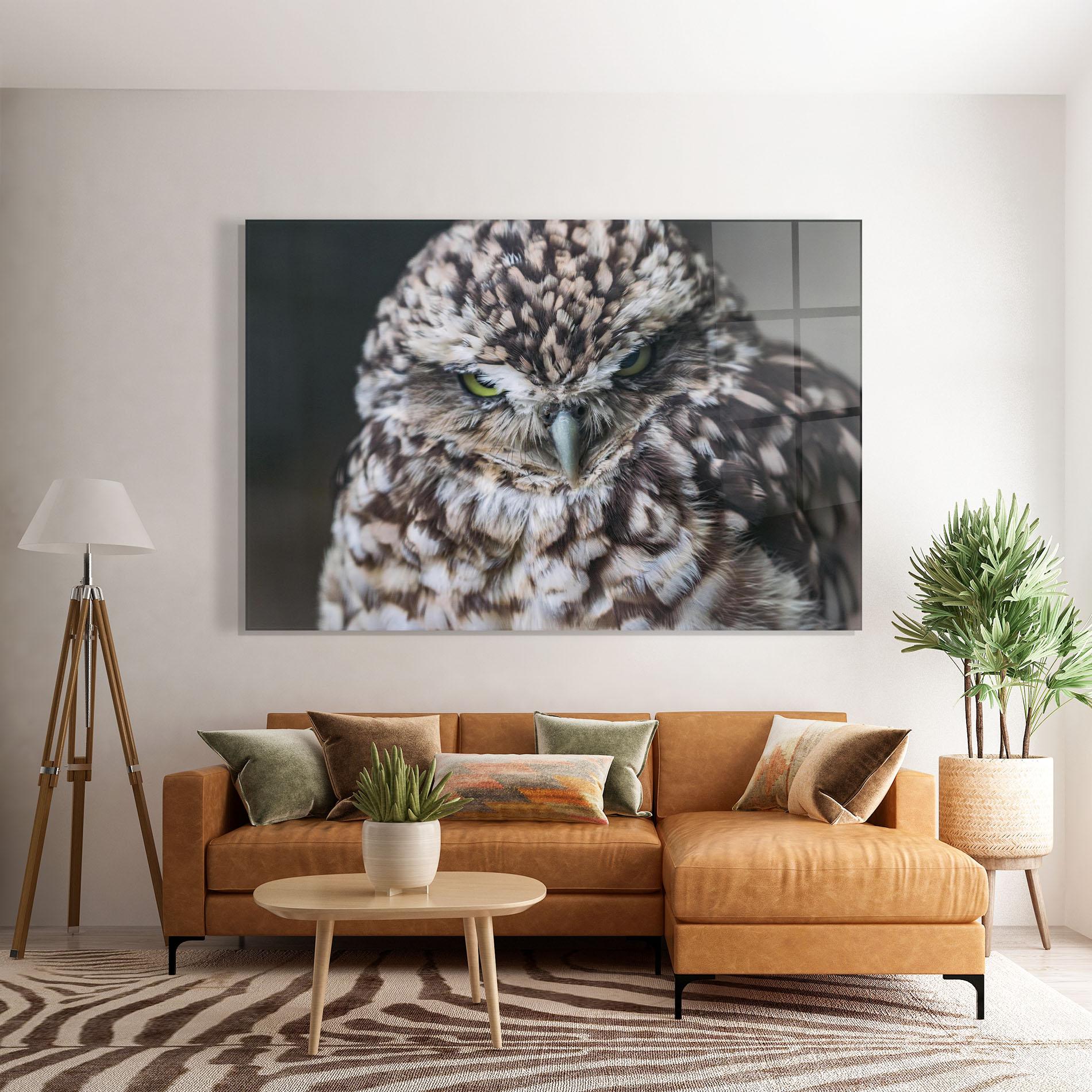 Glasbild Angry Little Owl mockup 7