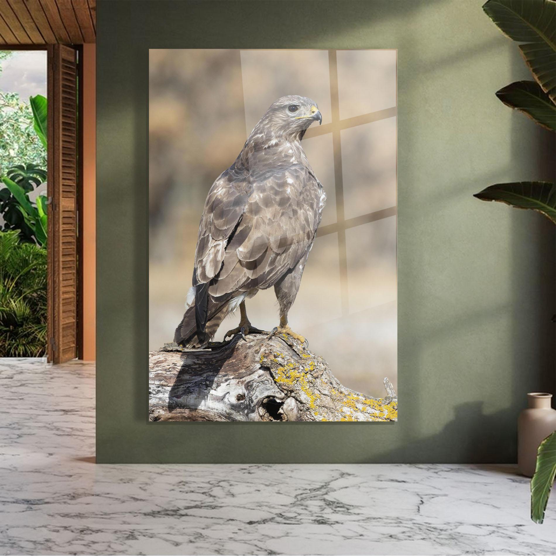 Glasbild Eagle Nature mockup 7
