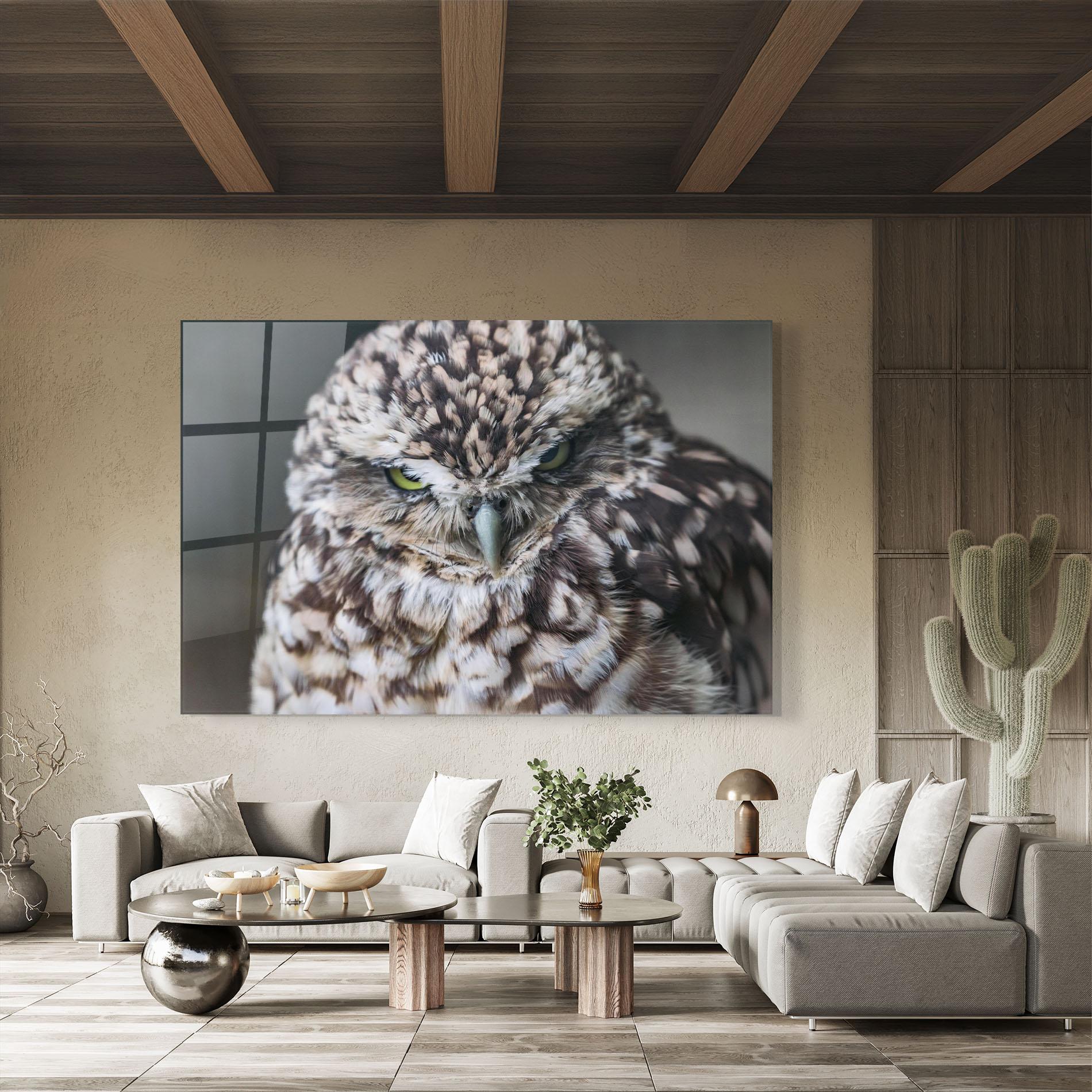 Glasbild Angry Little Owl mockup 8