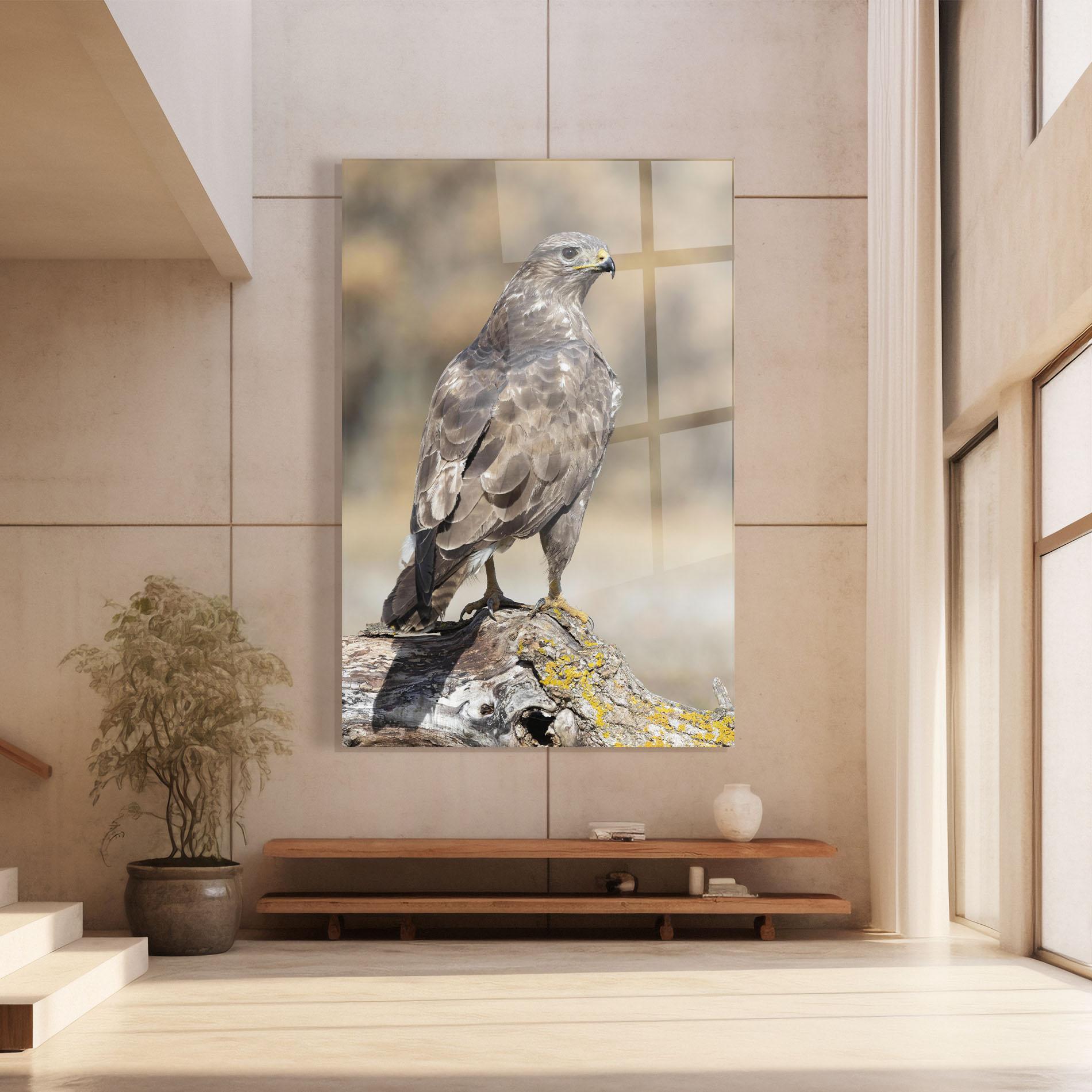 Glasbild Eagle Nature mockup 8