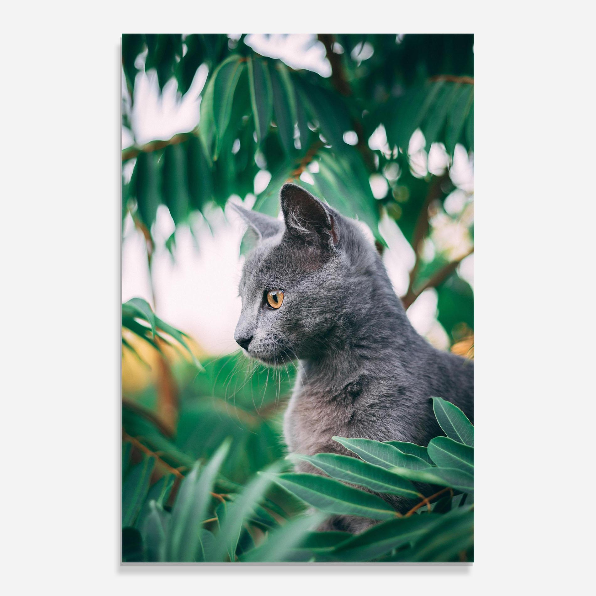 Glasbild Cat Tree mockup 0