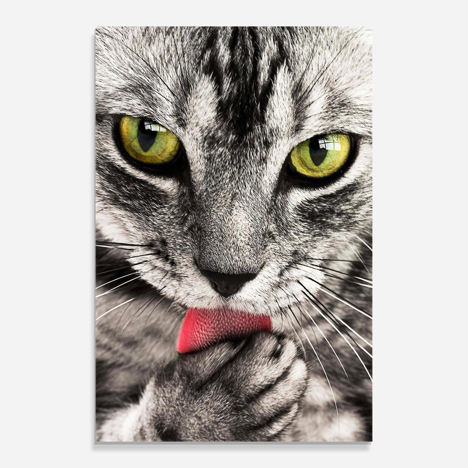 Glasbild Green Eyes Close Up Cat mockup 0