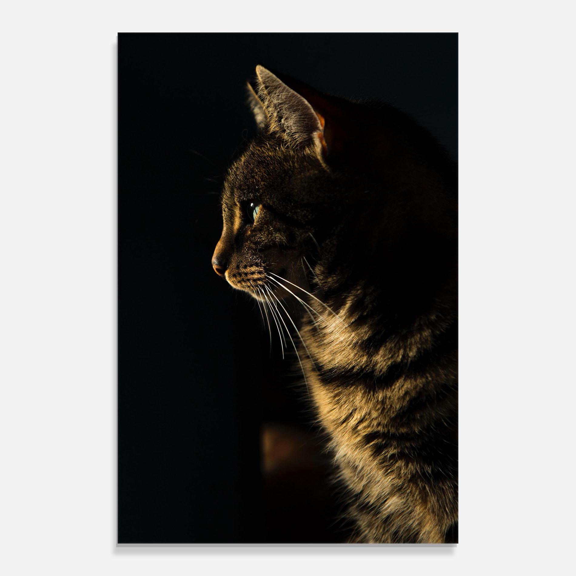 Glasbild Hunting Cat mockup 0
