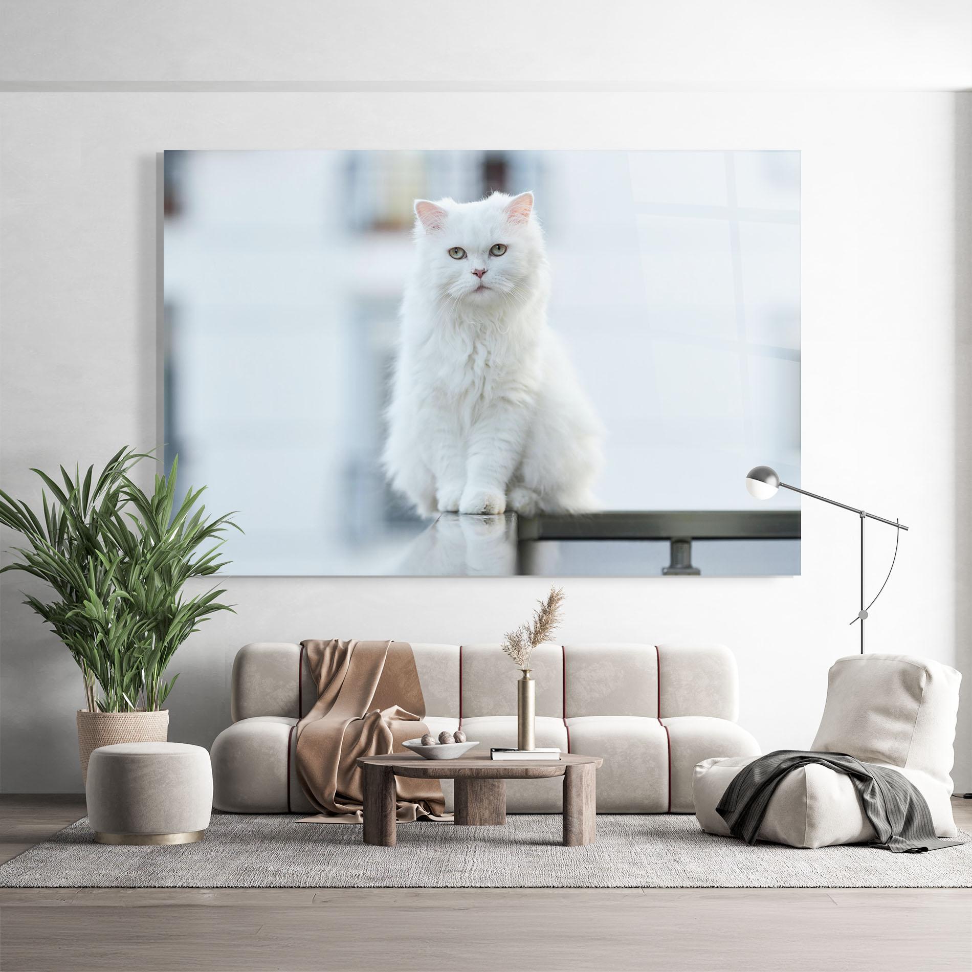 Glasbild Big White Cat mockup 9