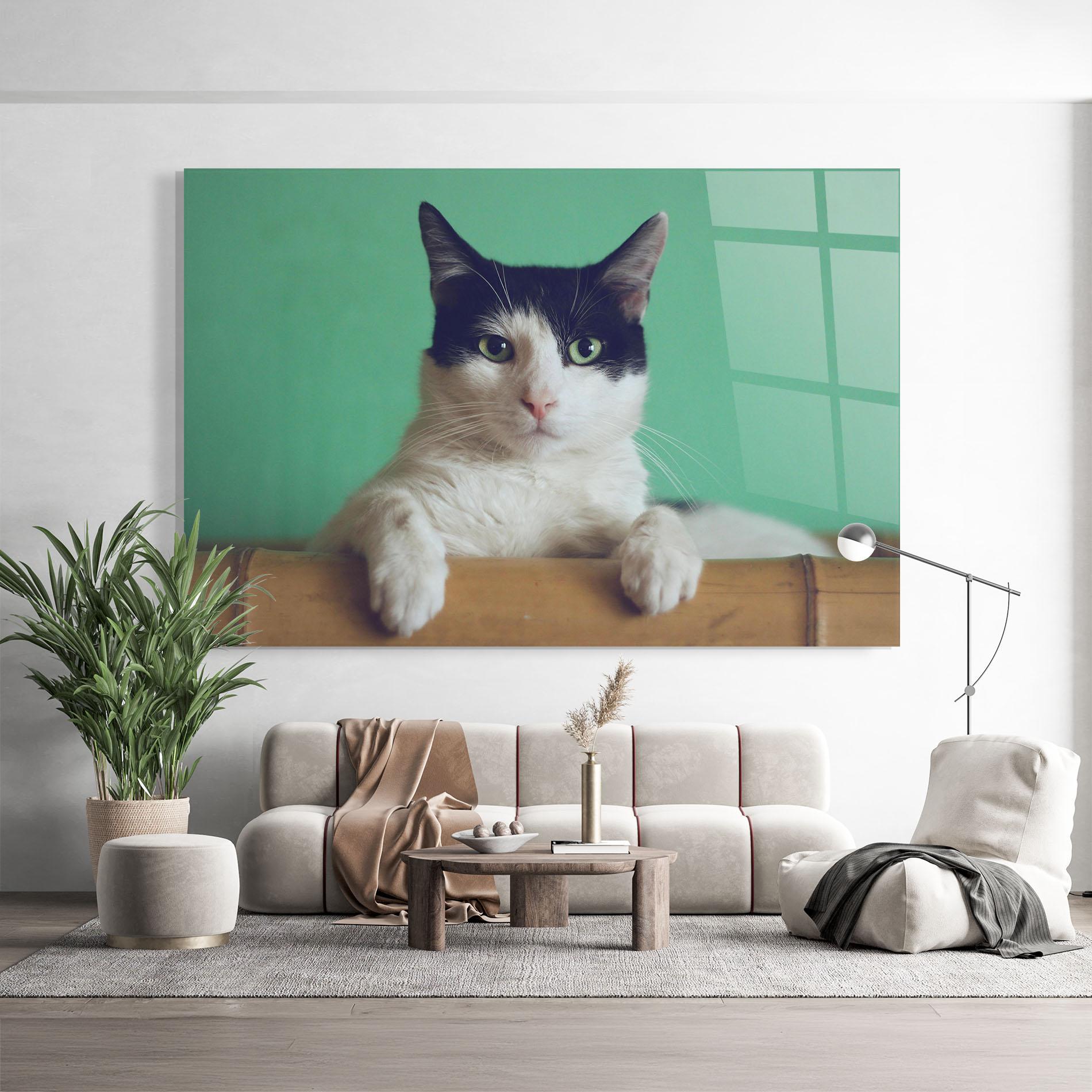 Glasbild Black White Cat mockup 9