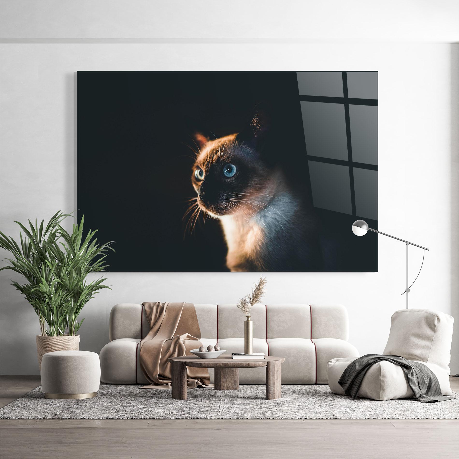 Glasbild Blue Eyes Cat In Dark mockup 9