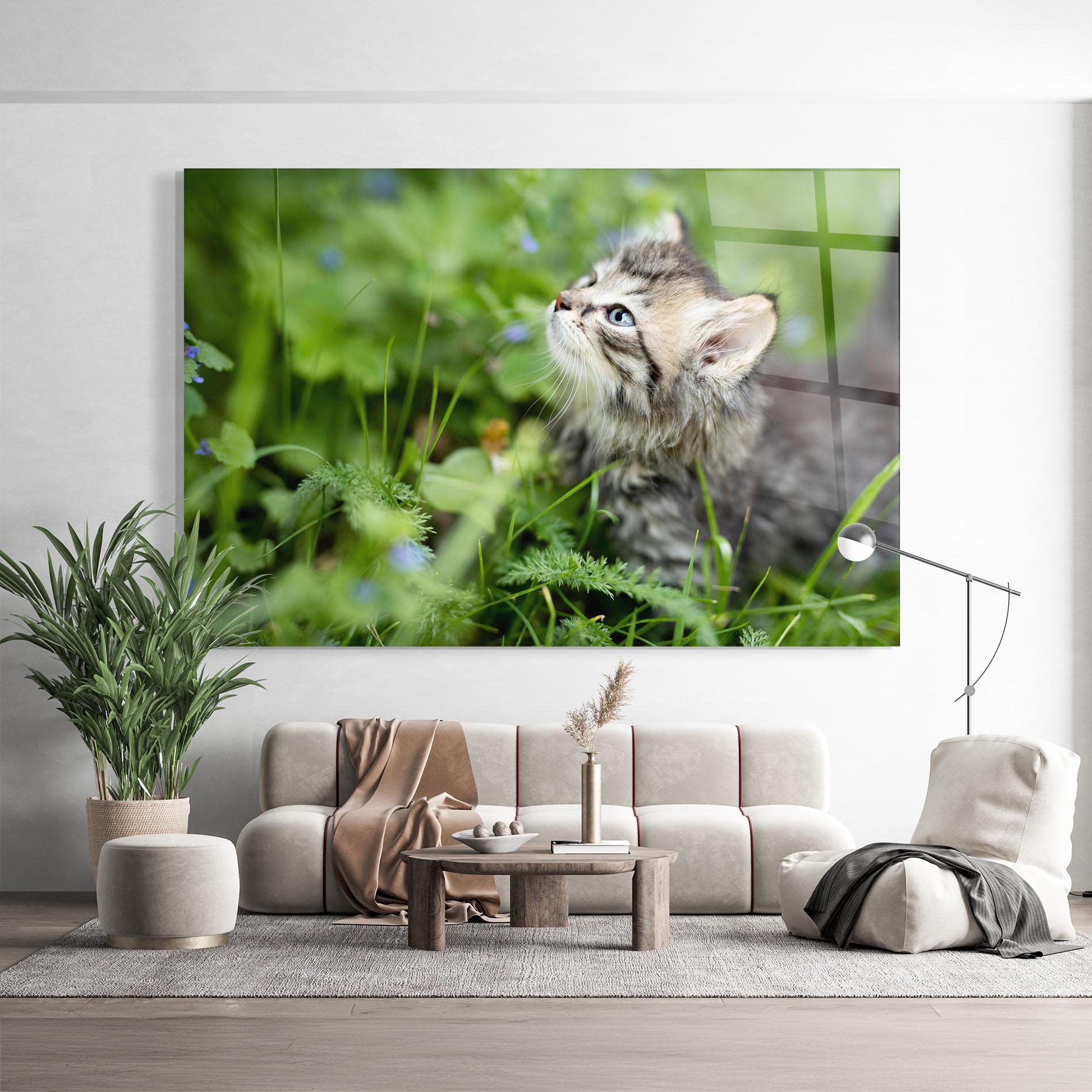 Glasbild Brown Baby Cat mockup 9