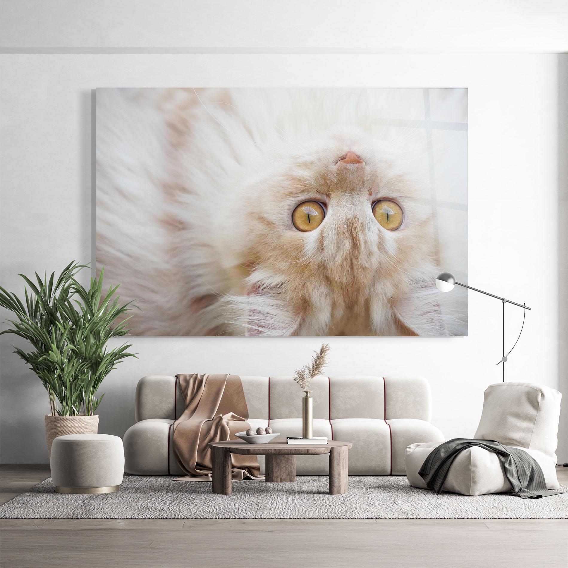 Glasbild Close Up Yellow Eyes Cat mockup 9