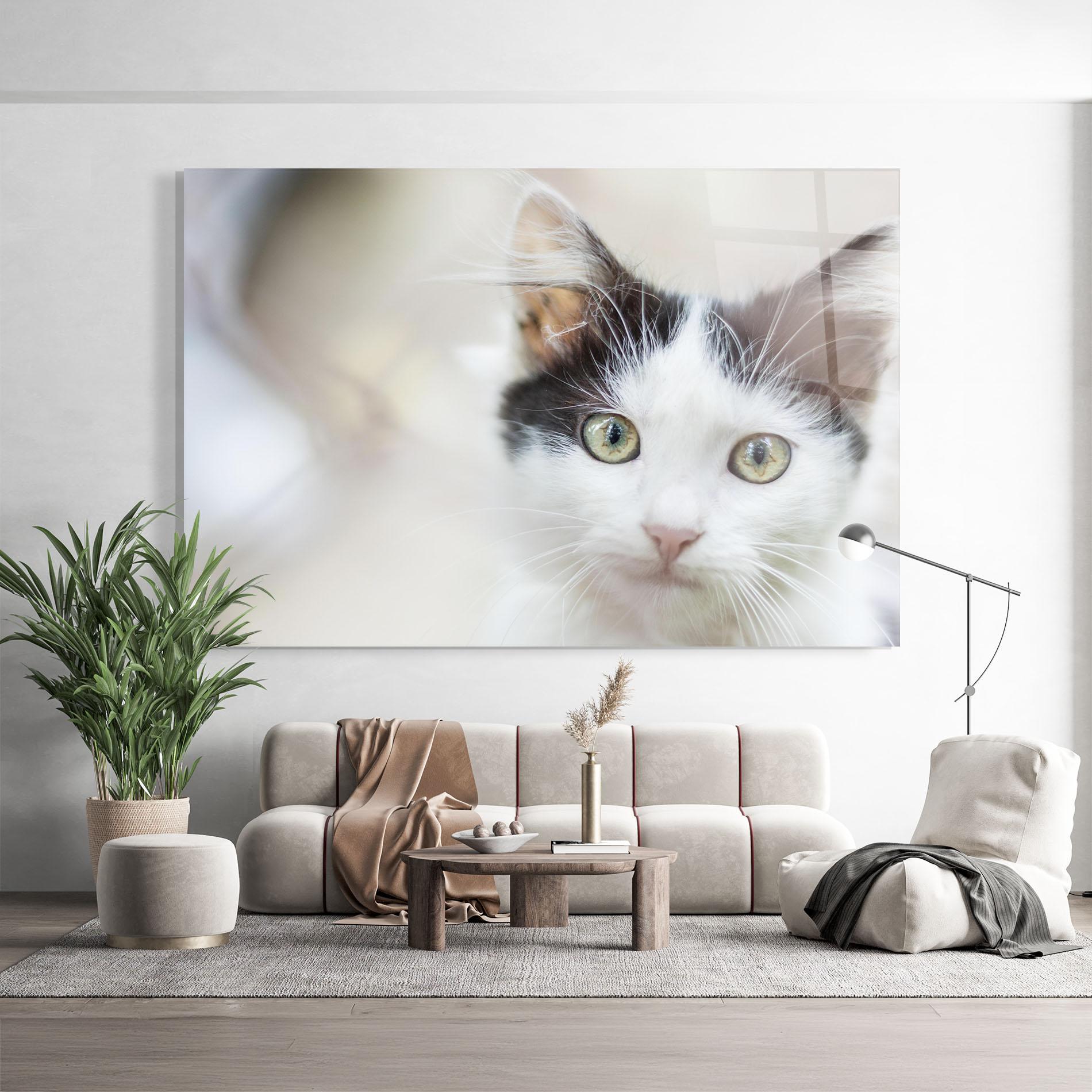 Glasbild Cutie Cat mockup 9