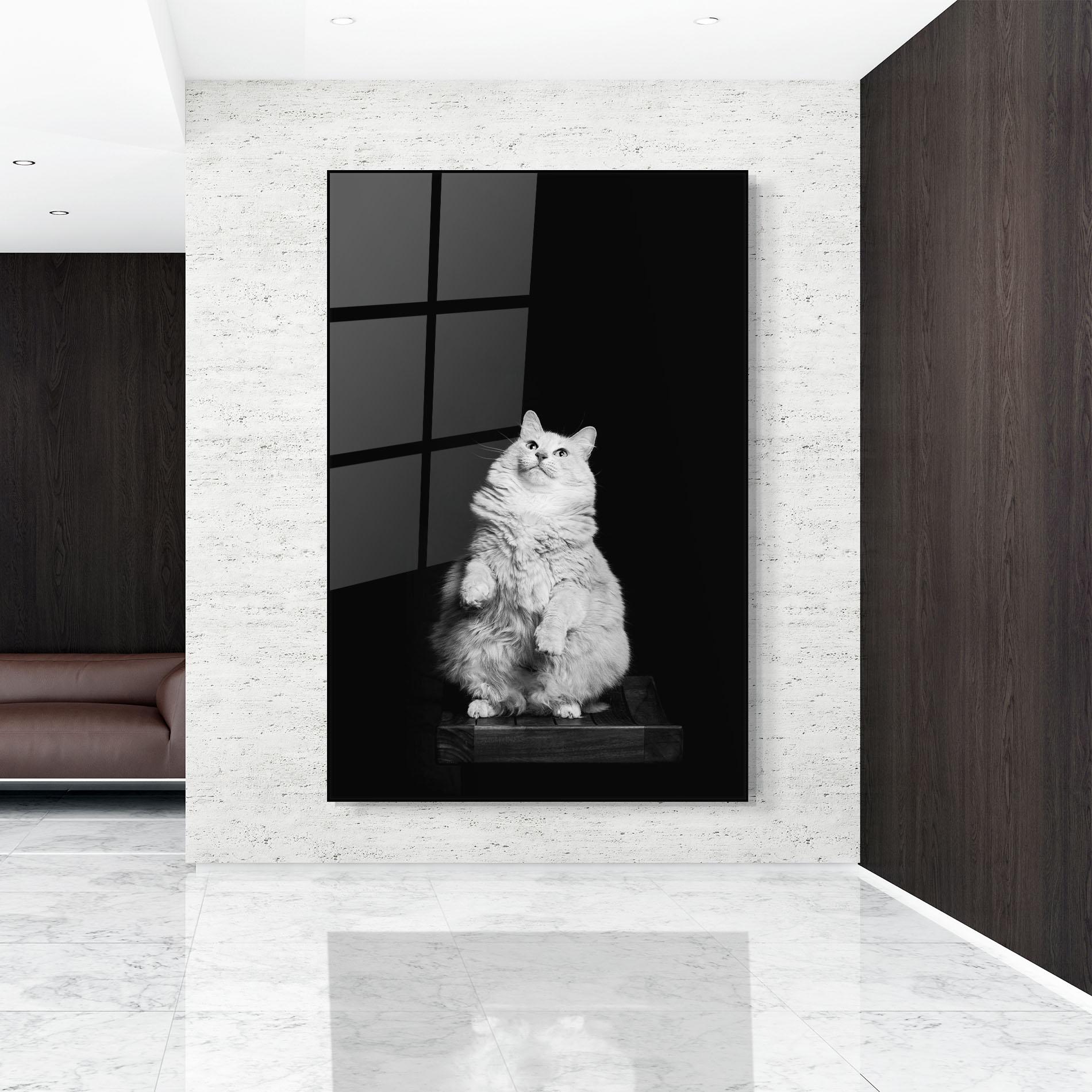 Glasbild Big Fluffy Cat mockup 9
