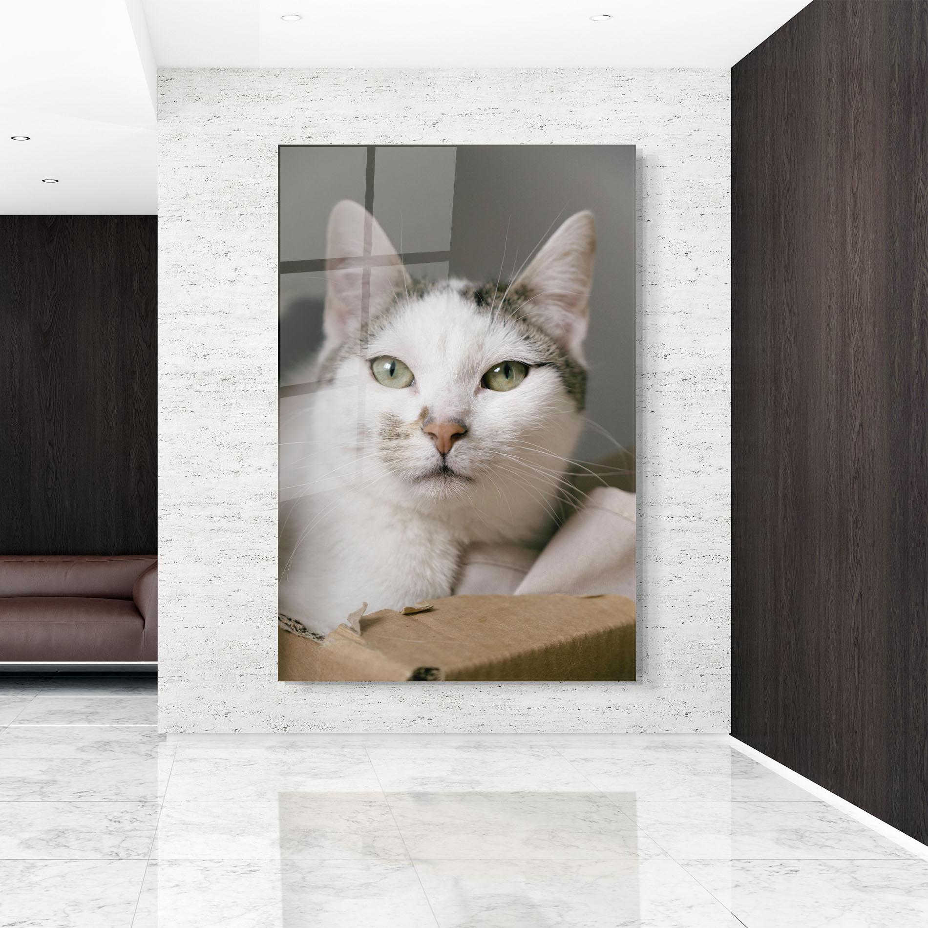 Glasbild Big Sleepy Cat mockup 9