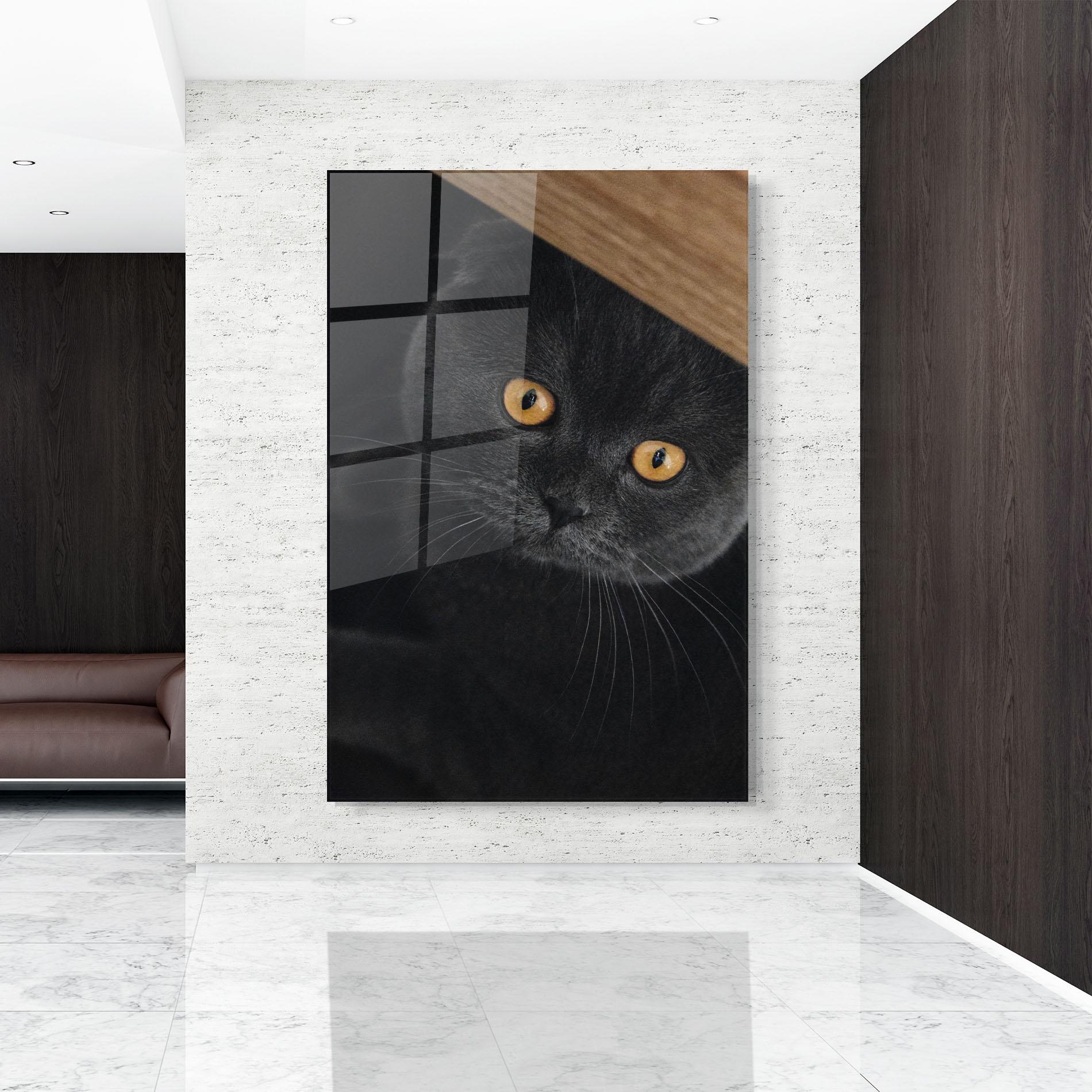 Glasbild Grey Cat With Orange Eyes mockup 9