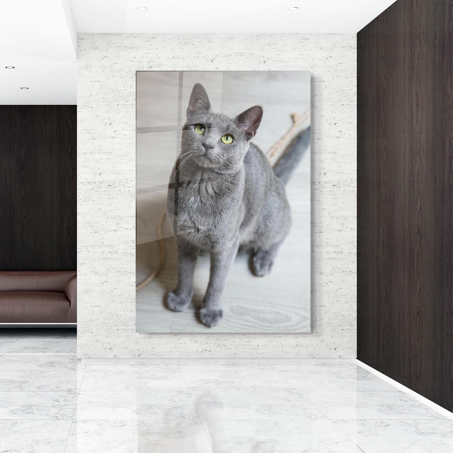 Glasbild Grey Green Cat Eyes mockup 9