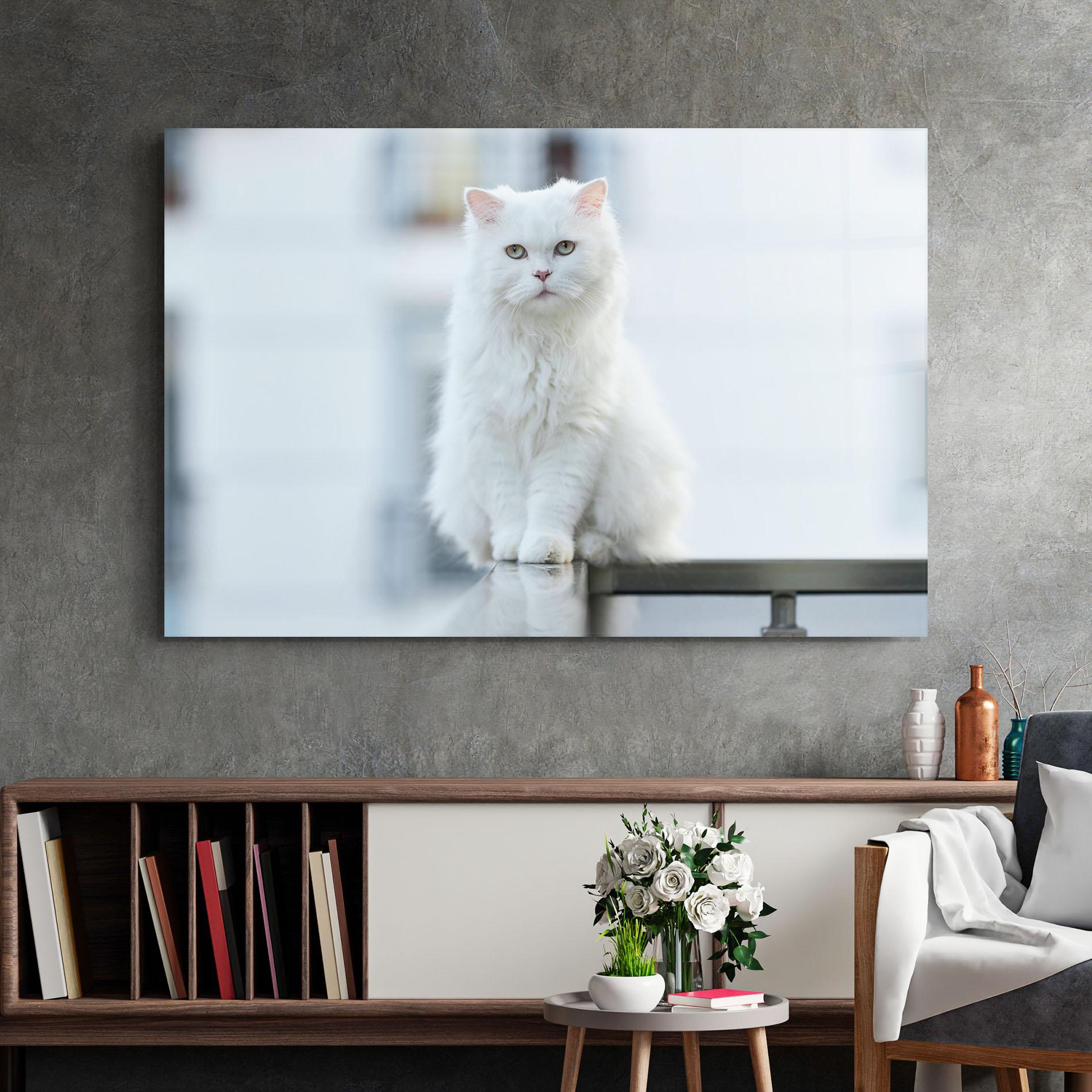 Glasbild Big White Cat mockup 2