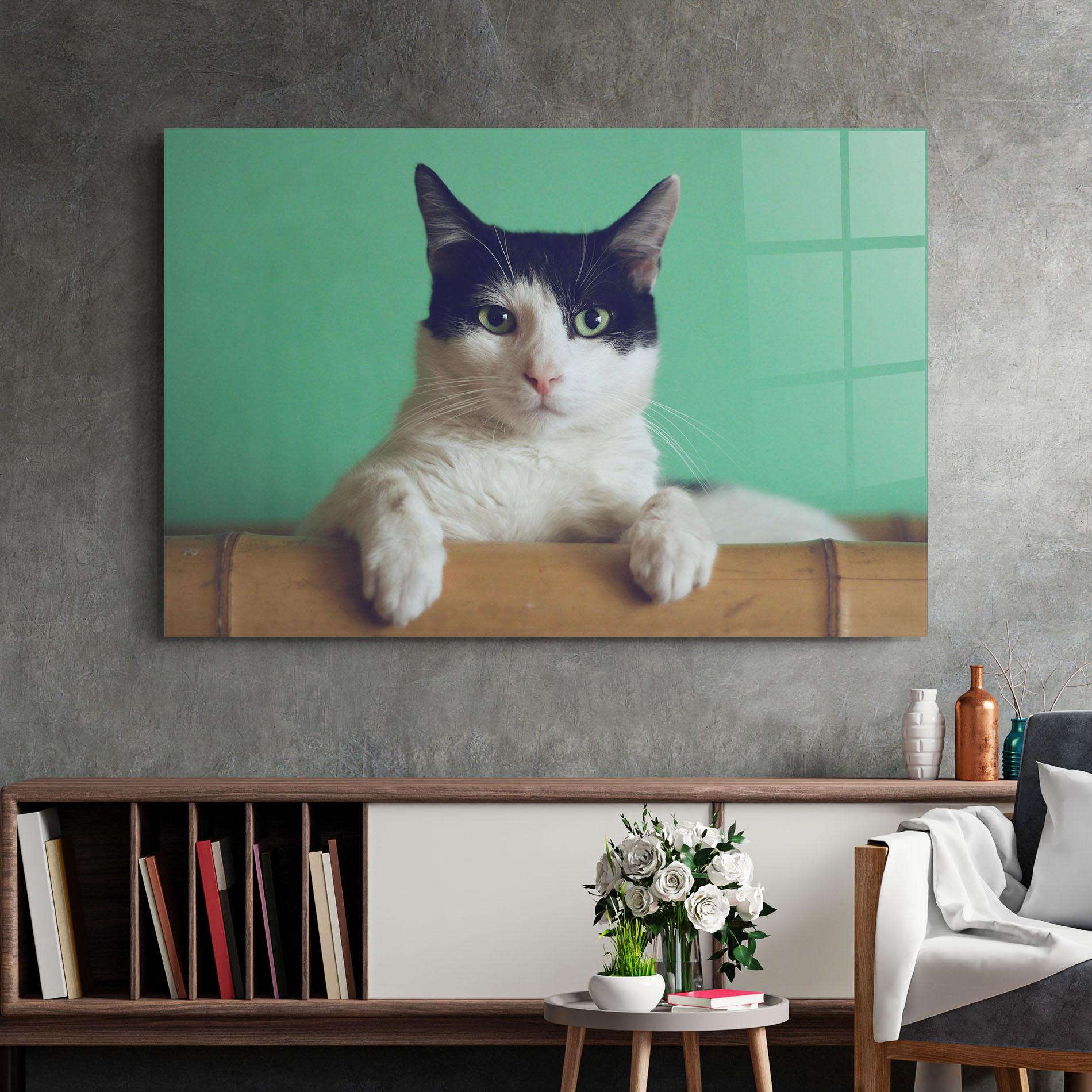 Glasbild Black White Cat mockup 2