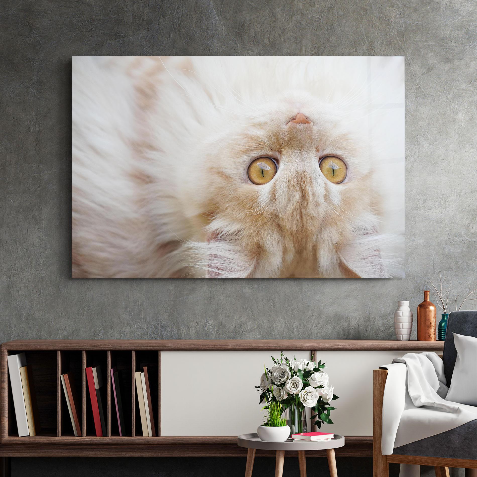 Glasbild Close Up Yellow Eyes Cat mockup 2