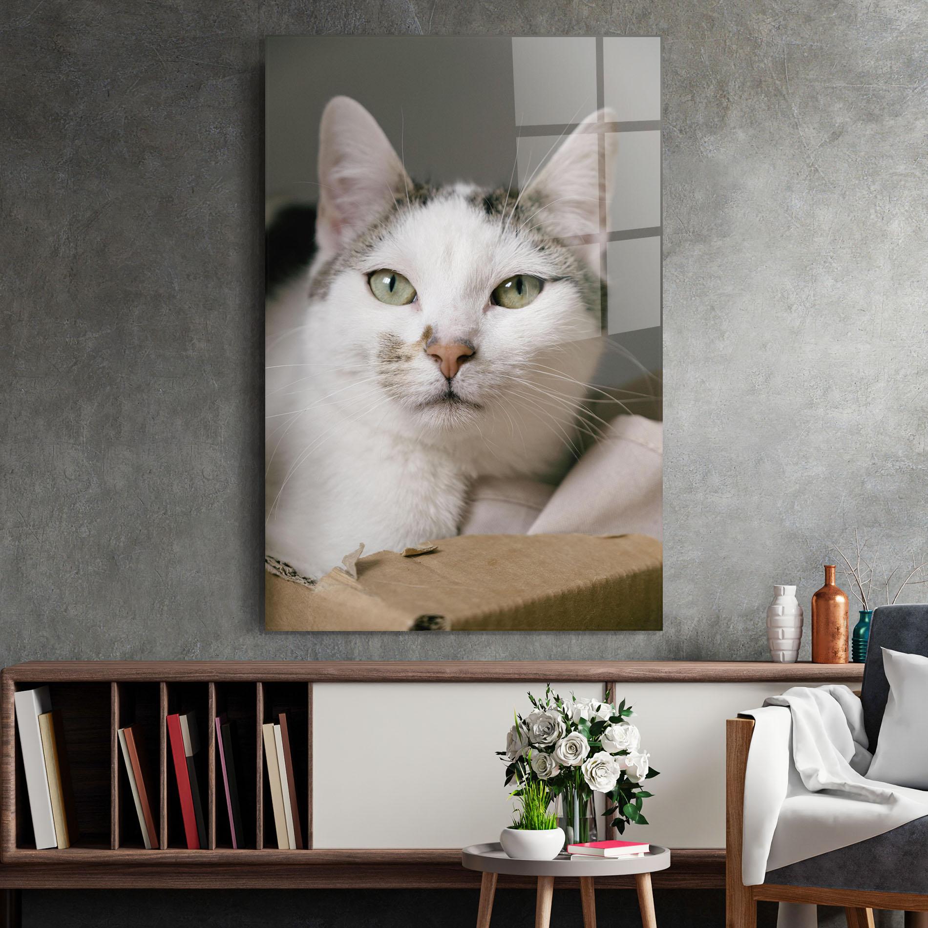 Glasbild Big Sleepy Cat mockup 2