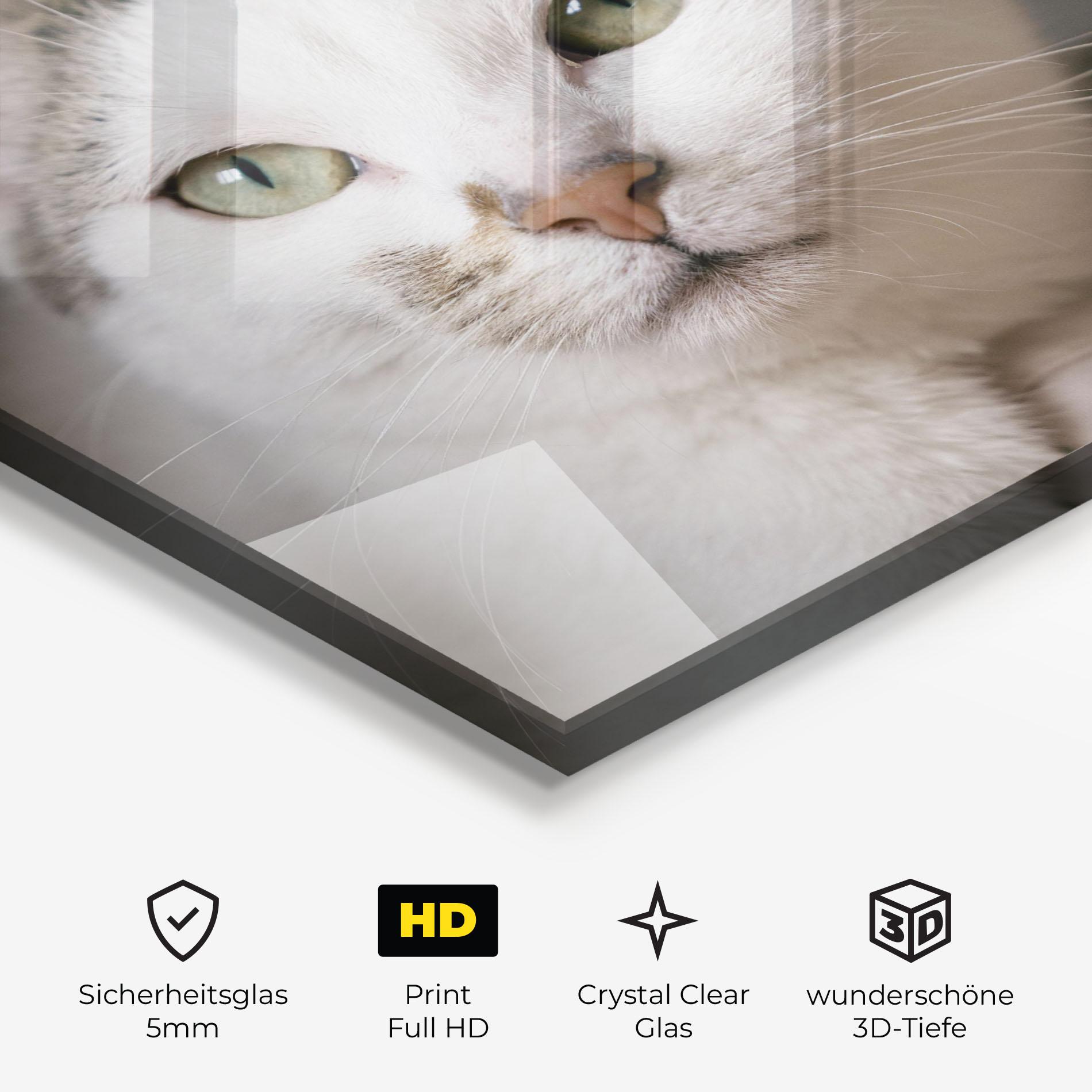 Glasbild Big Sleepy Cat mockup 3