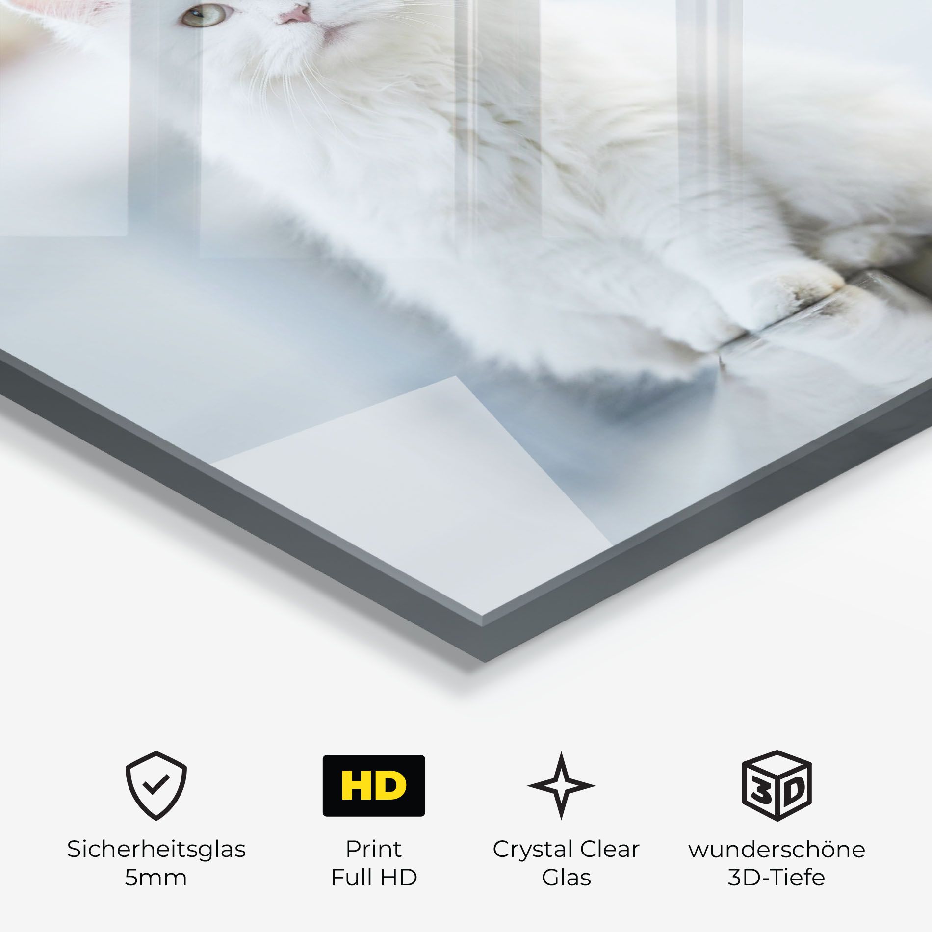Big White Cat mockup 3