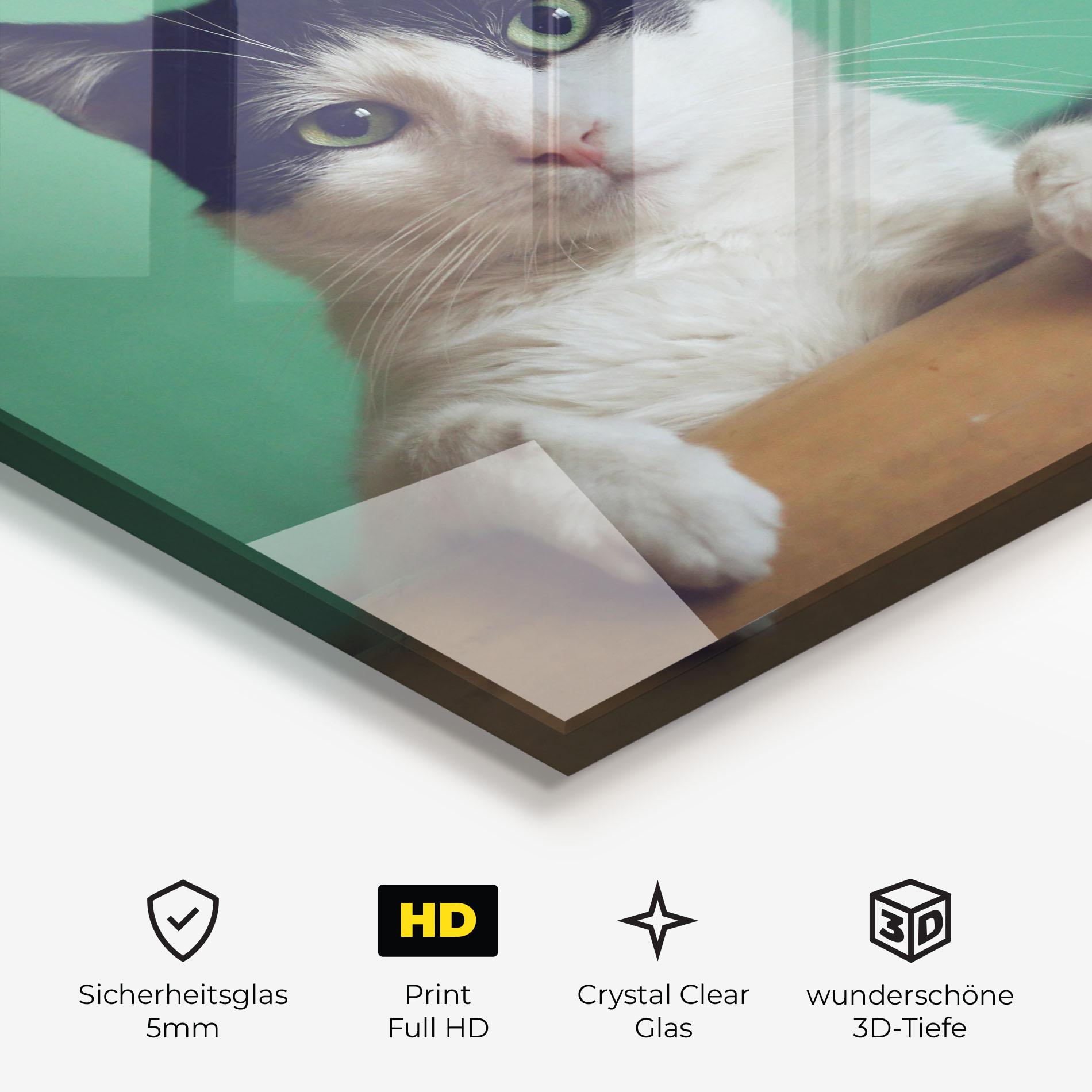 Glasbild Black White Cat mockup 3