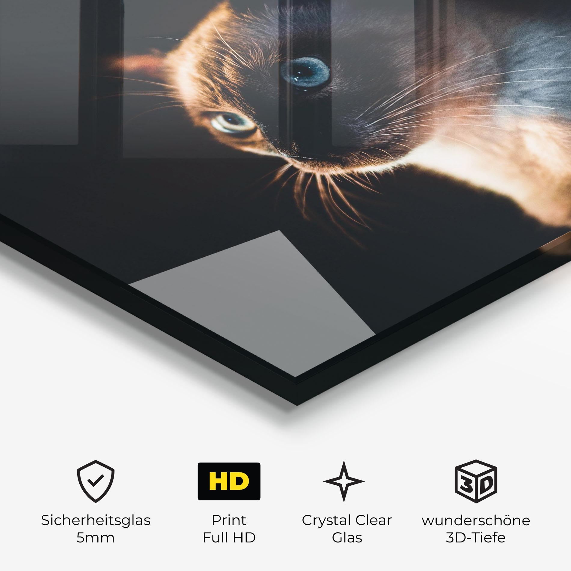 Glasbild Blue Eyes Cat In Dark mockup 3