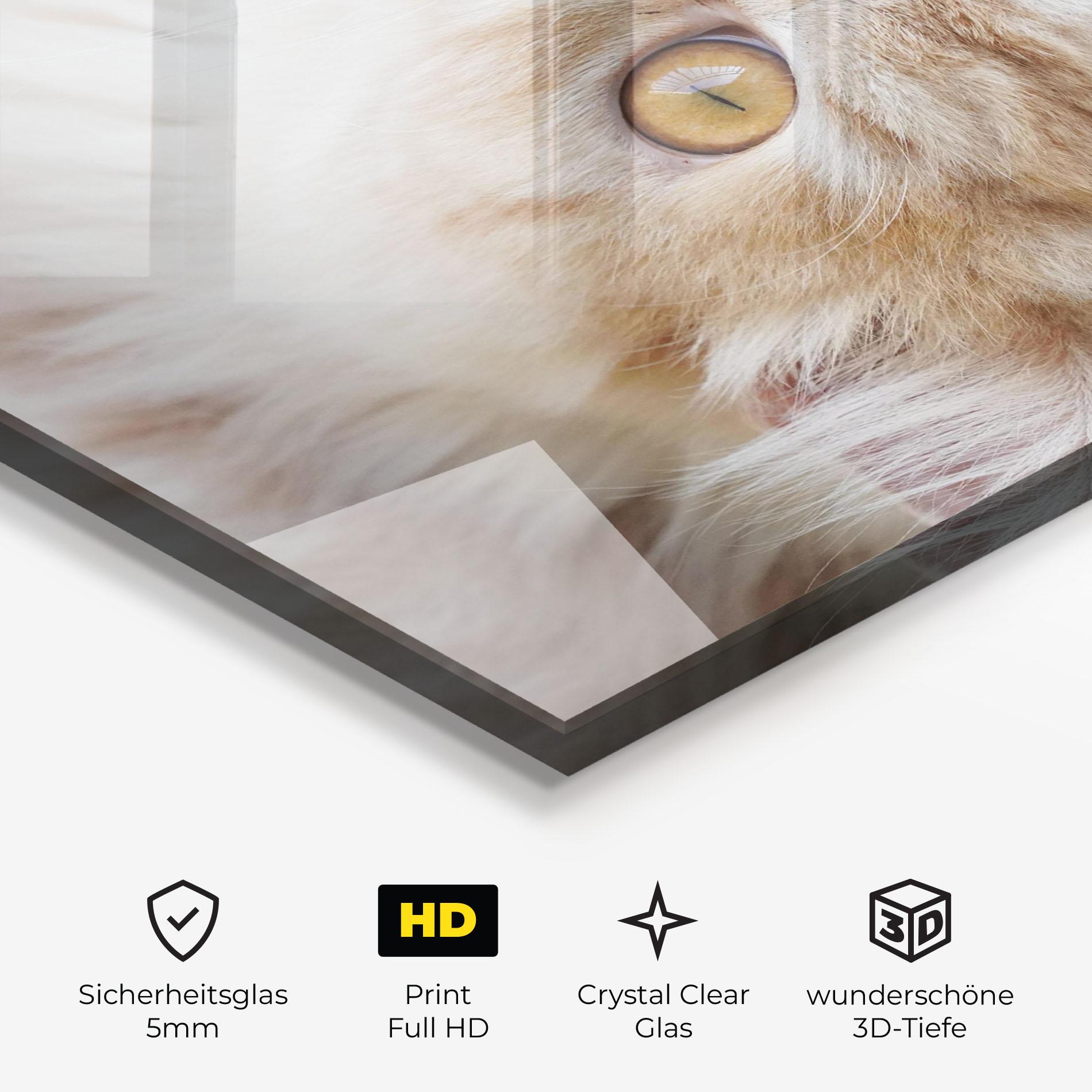 Glasbild Close Up Yellow Eyes Cat mockup 3