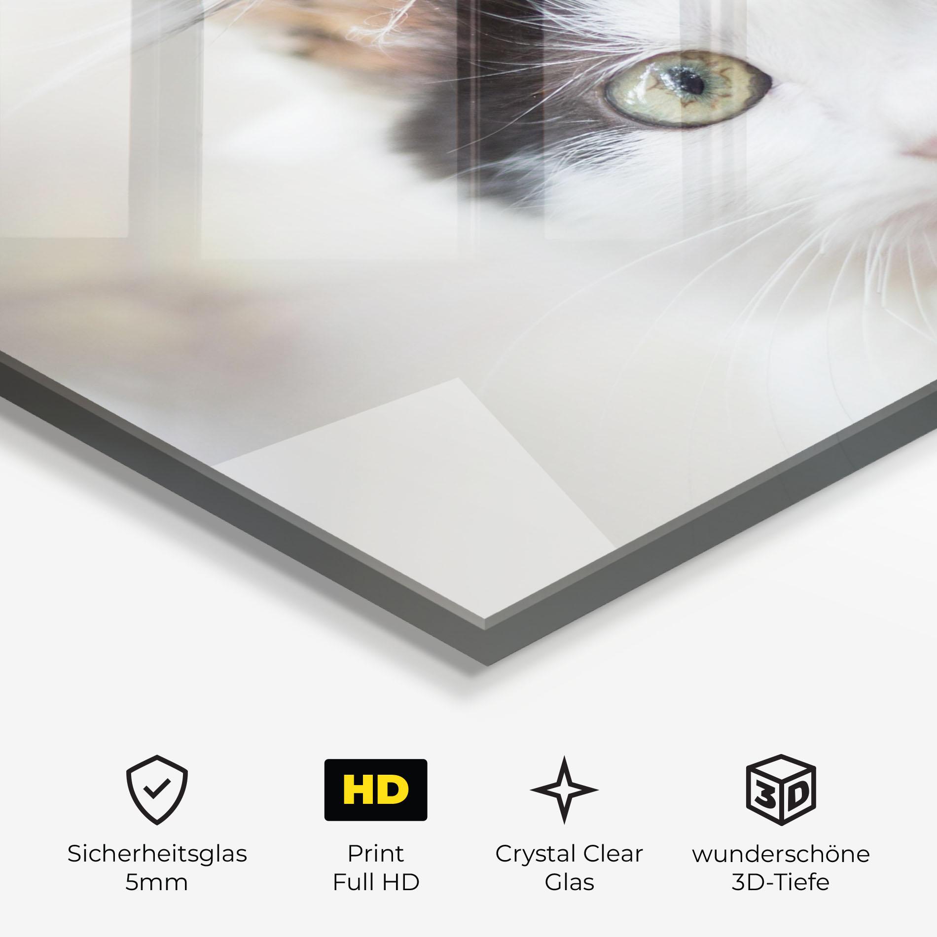 Glasbild Cutie Cat mockup 3