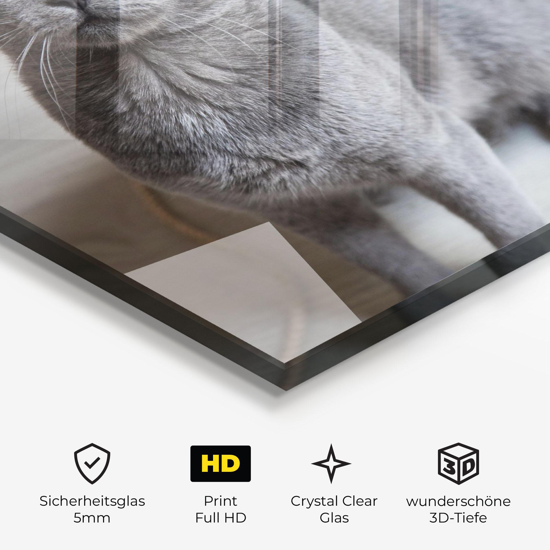 Glasbild Grey Green Cat Eyes mockup 3