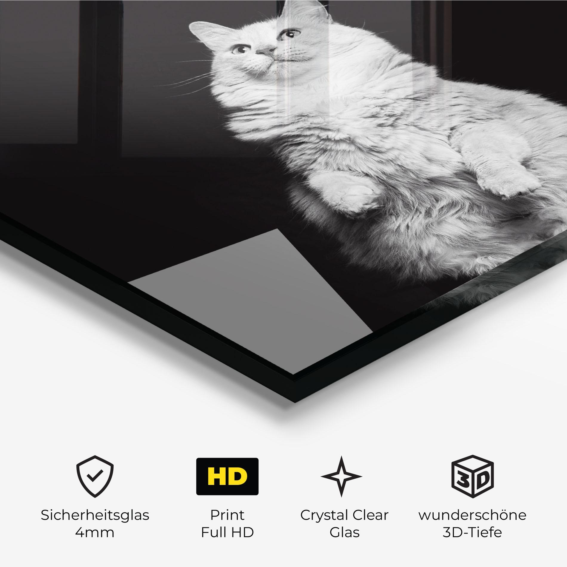 Glasbild Big Fluffy Cat mockup 3