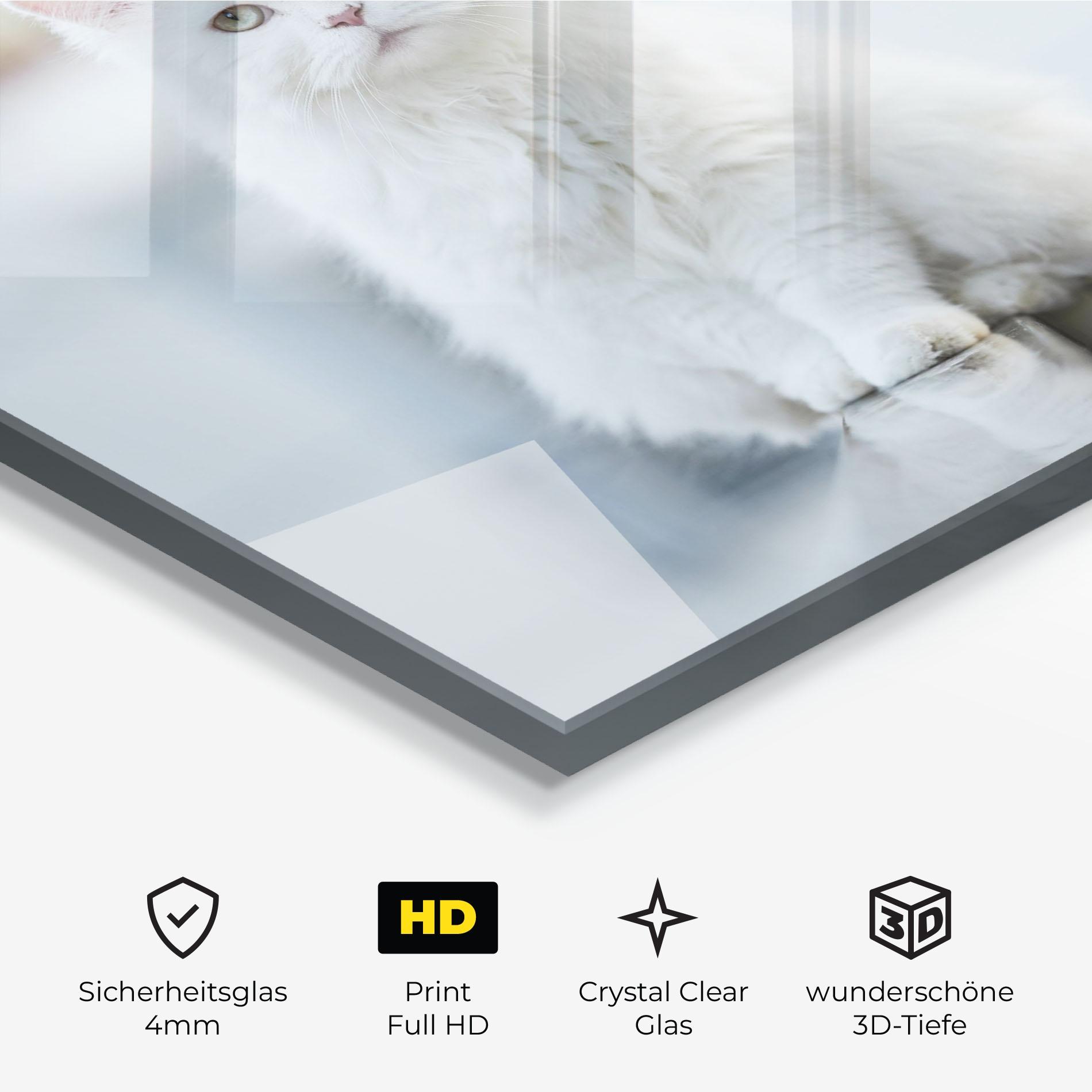 Glasbild Big White Cat mockup 3