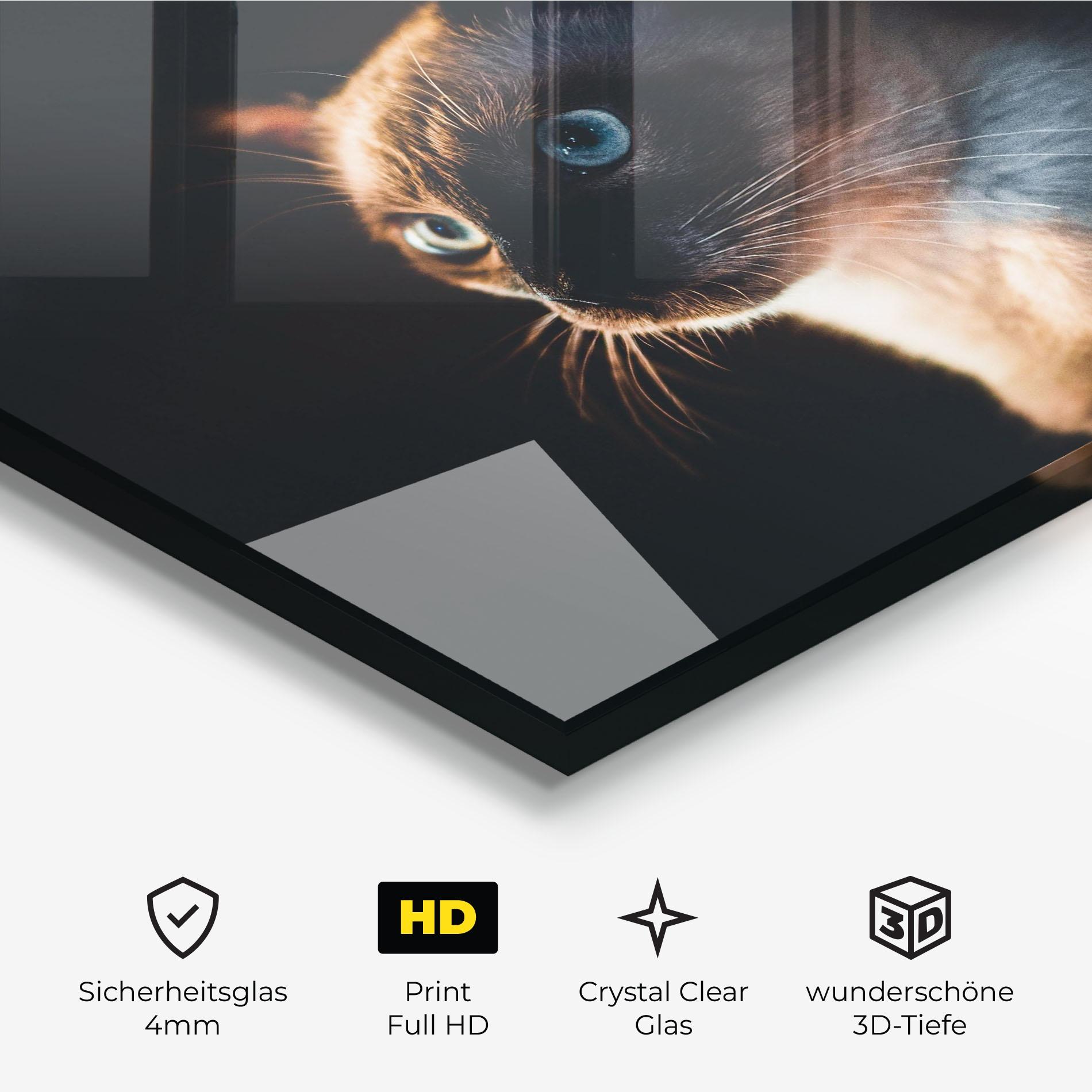 Glasbild Blue Eyes Cat In Dark mockup 3