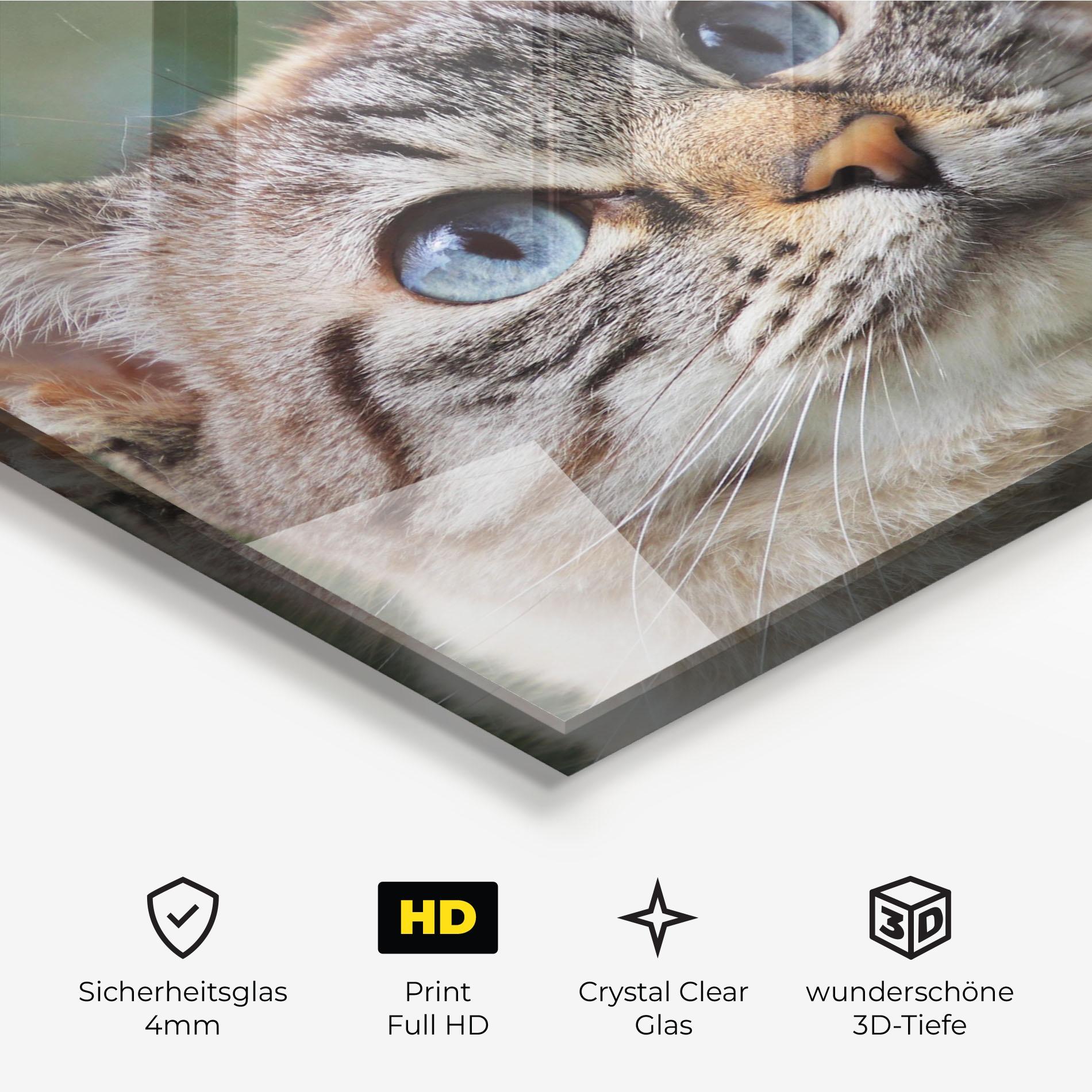 Glasbild Blue Eyes Cutie mockup 3