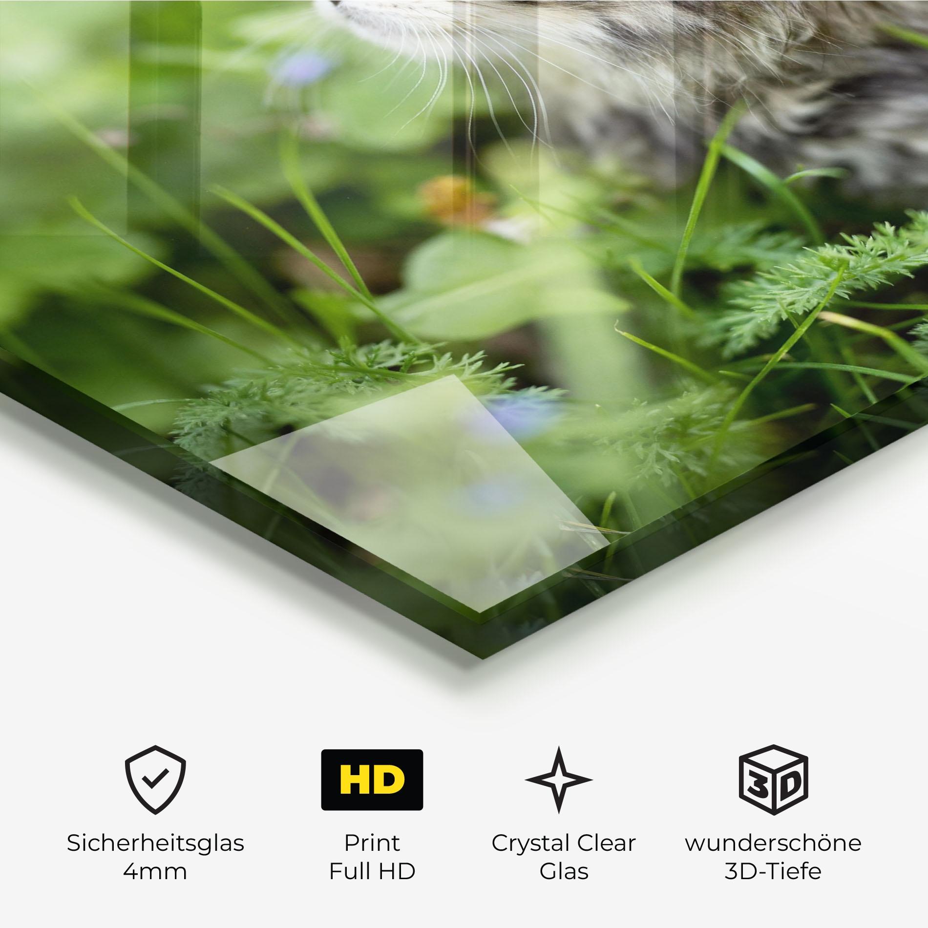 Glasbild Brown Baby Cat mockup 3