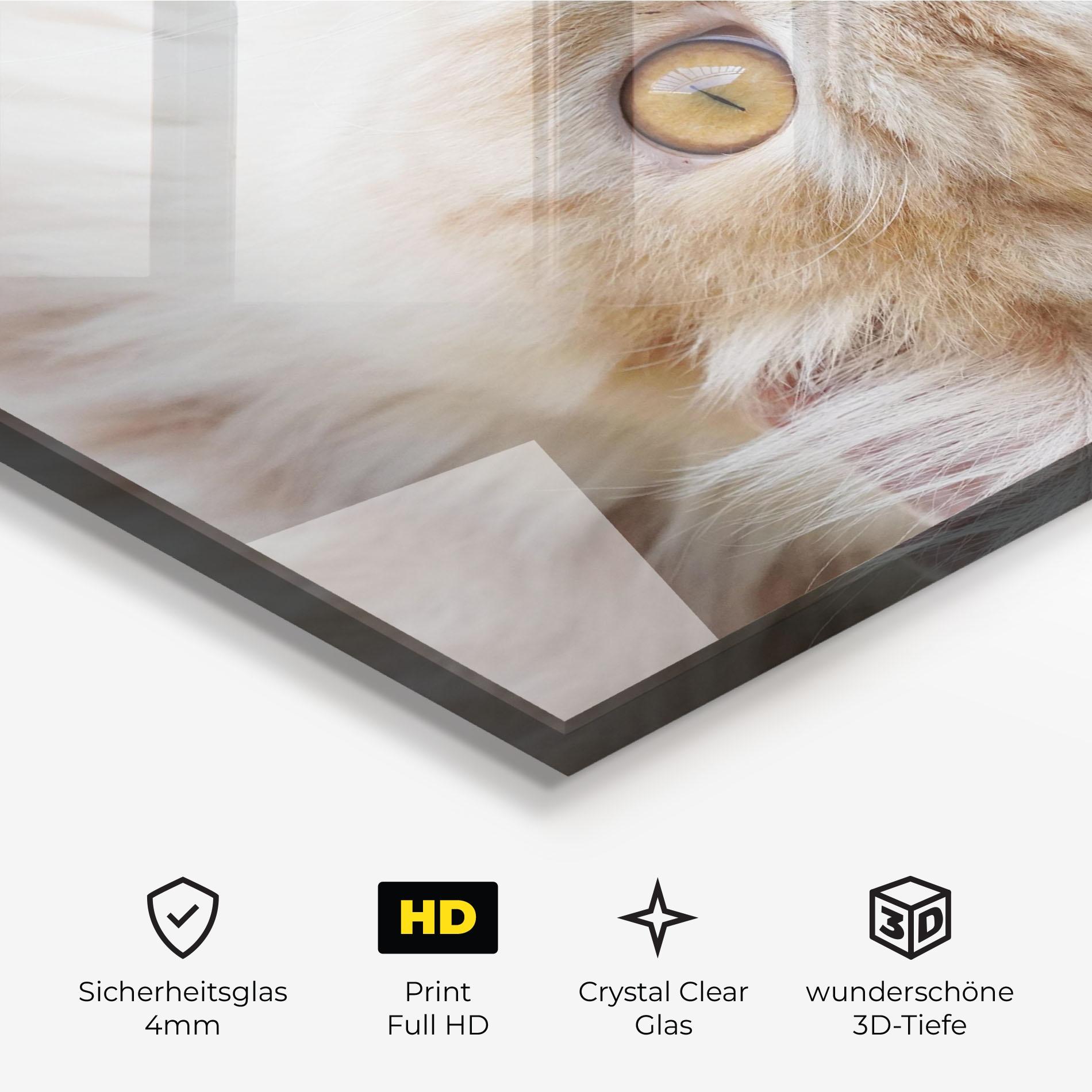 Glasbild Close Up Yellow Eyes Cat mockup 3