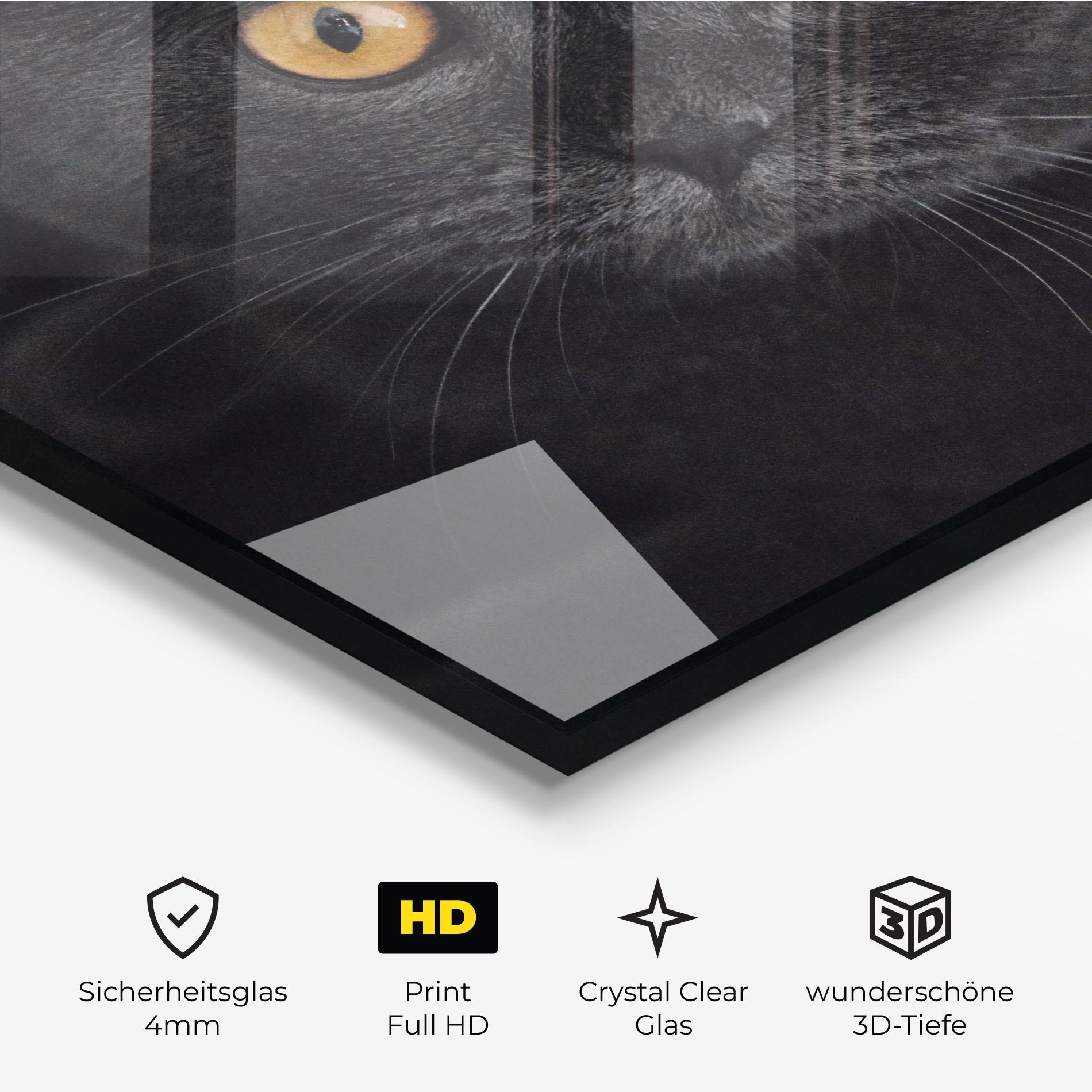 Glasbild Grey Cat With Orange Eyes mockup 3