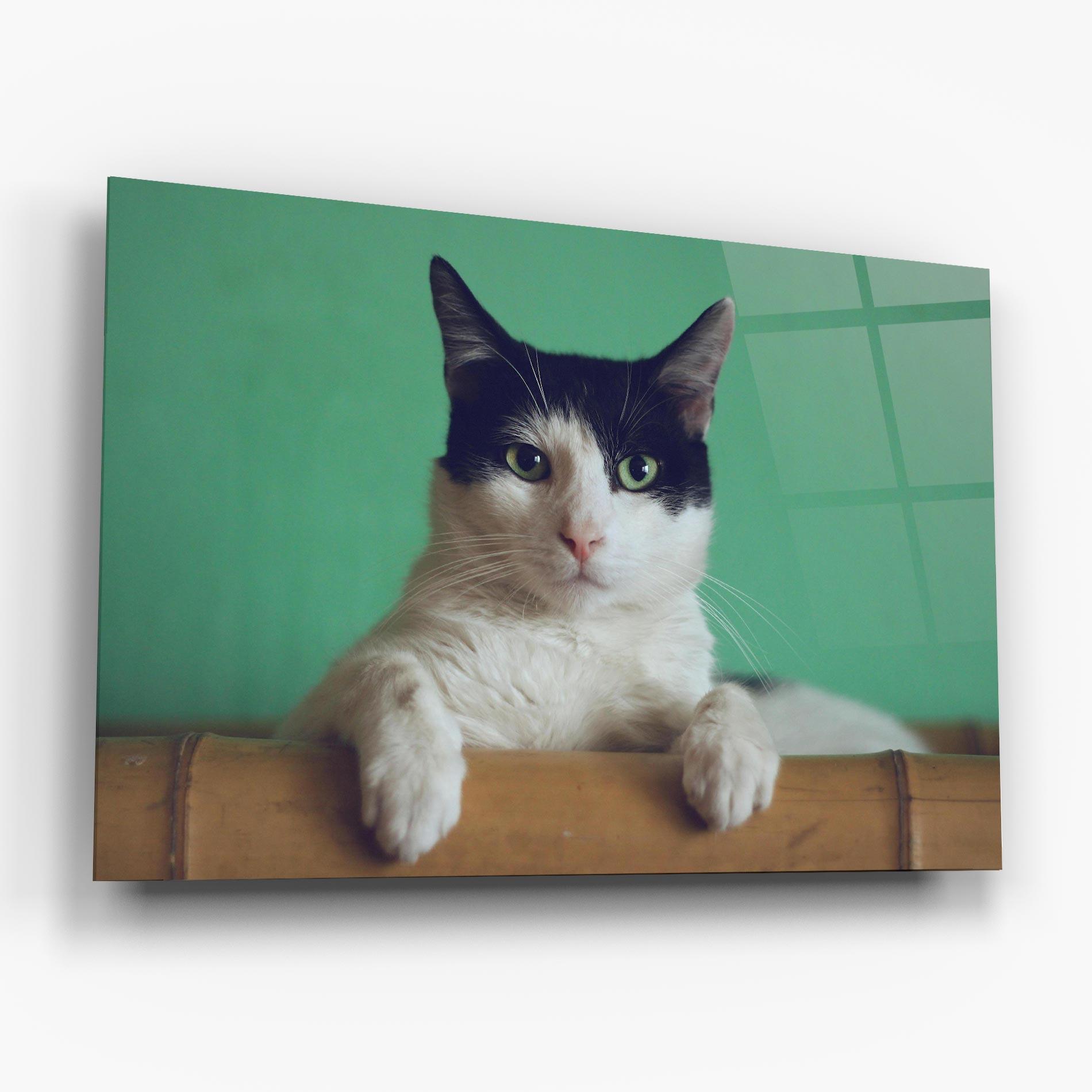 Glasbild Black White Cat mockup 6