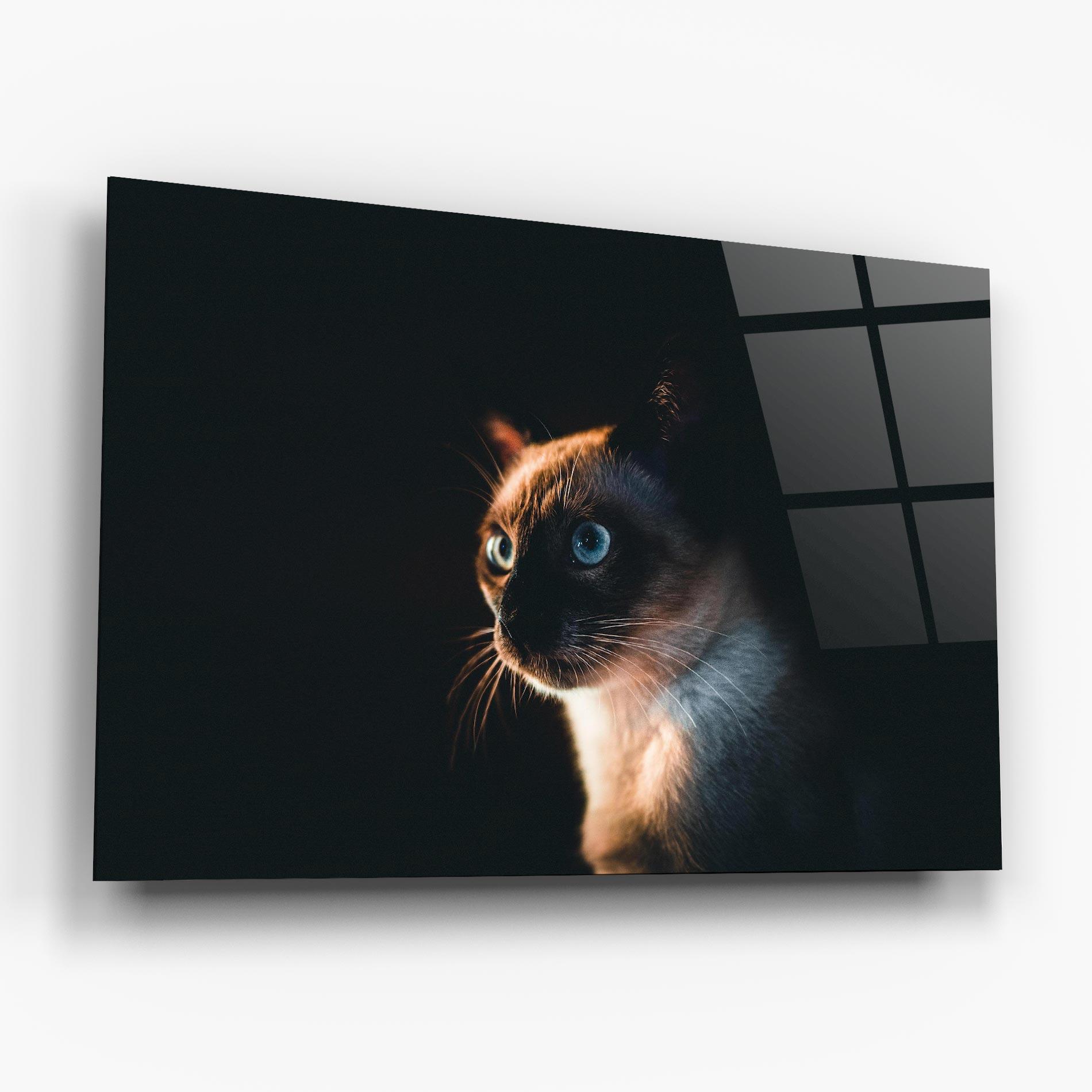 Glasbild Blue Eyes Cat In Dark mockup 6
