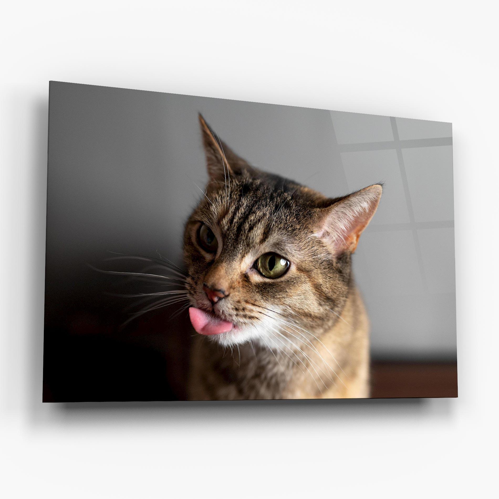 Glasbild Brown Green Eyes Cat mockup 6