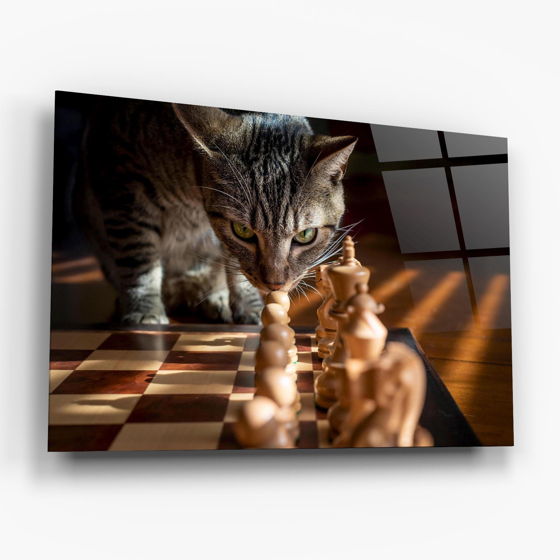 Glasbild Chess Cat mockup 6