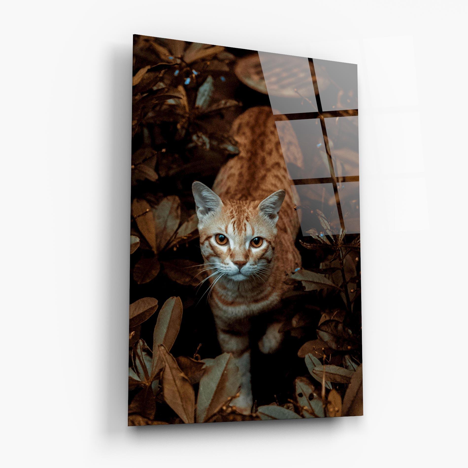 Glasbild Autumn Orange Cat mockup 6