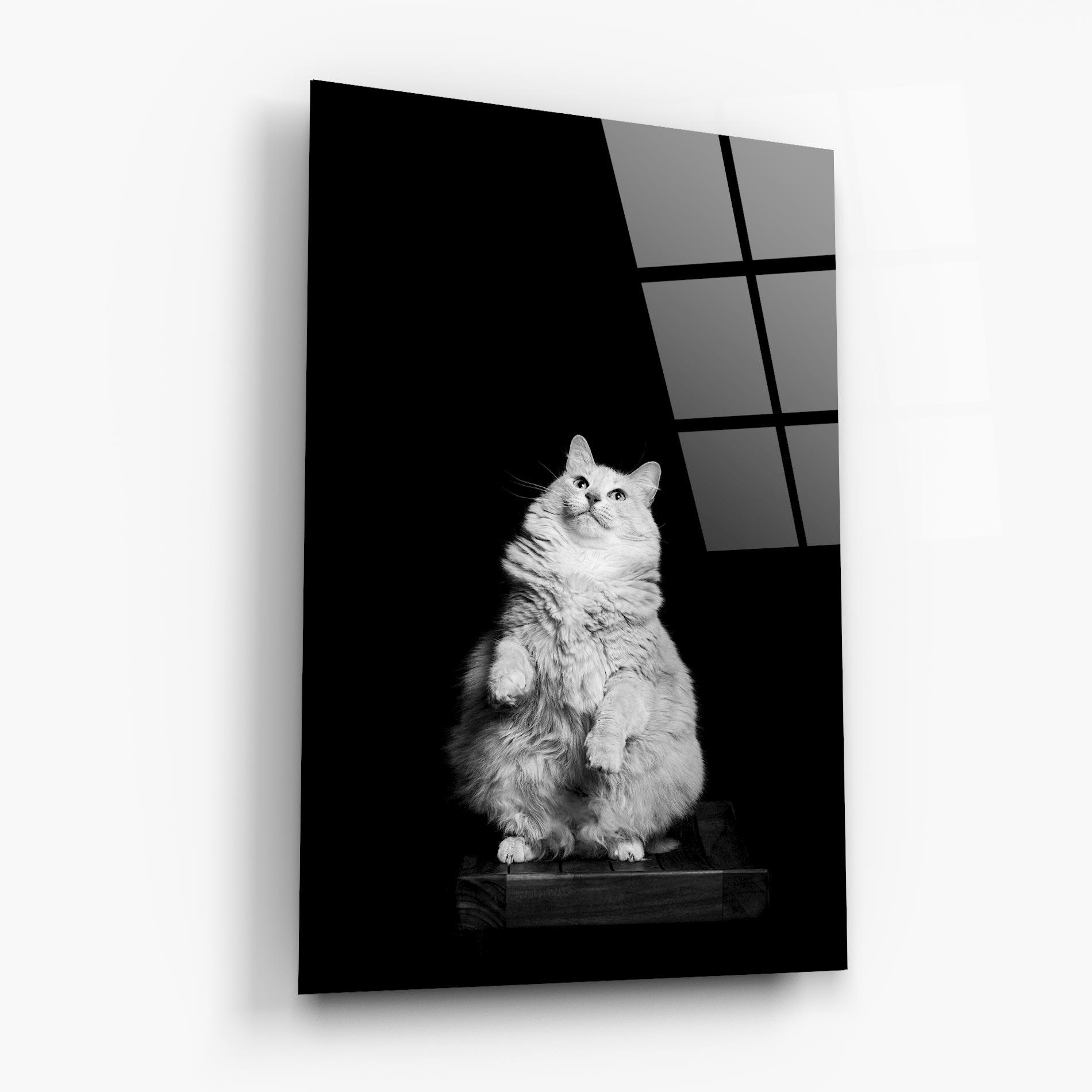 Glasbild Big Fluffy Cat mockup 6