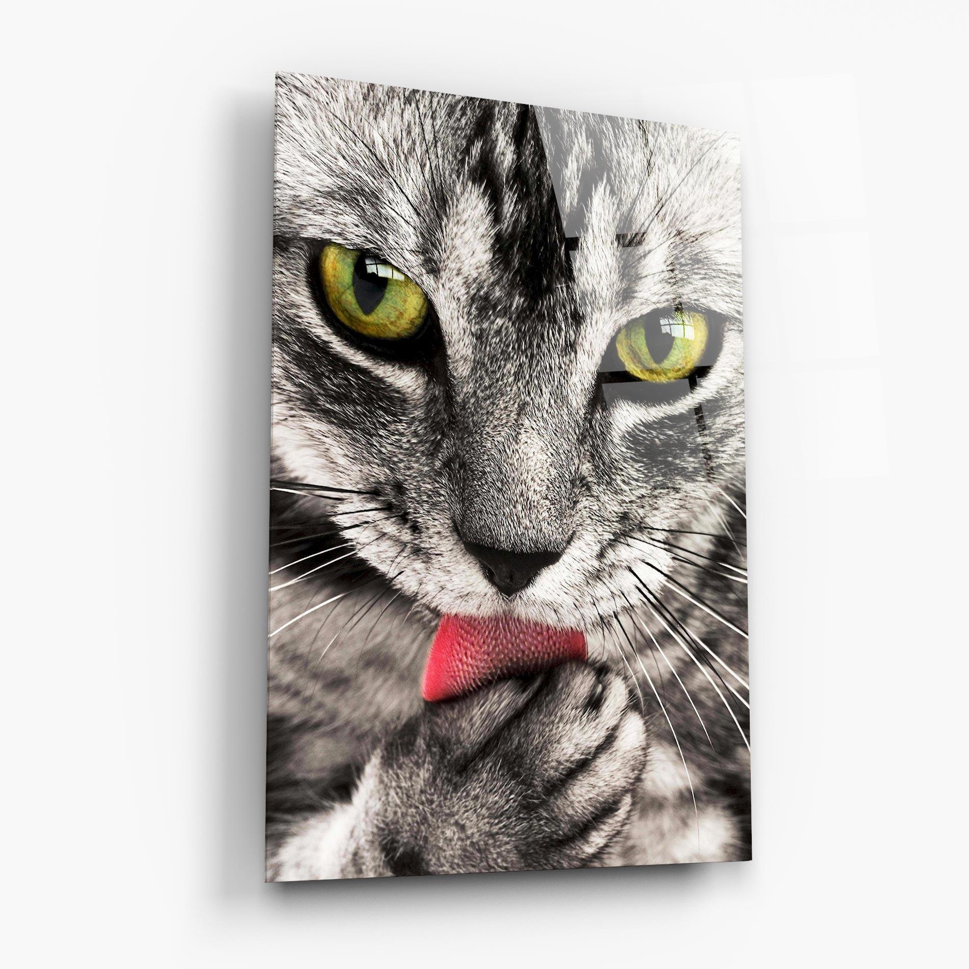 Glasbild Green Eyes Close Up Cat mockup 6