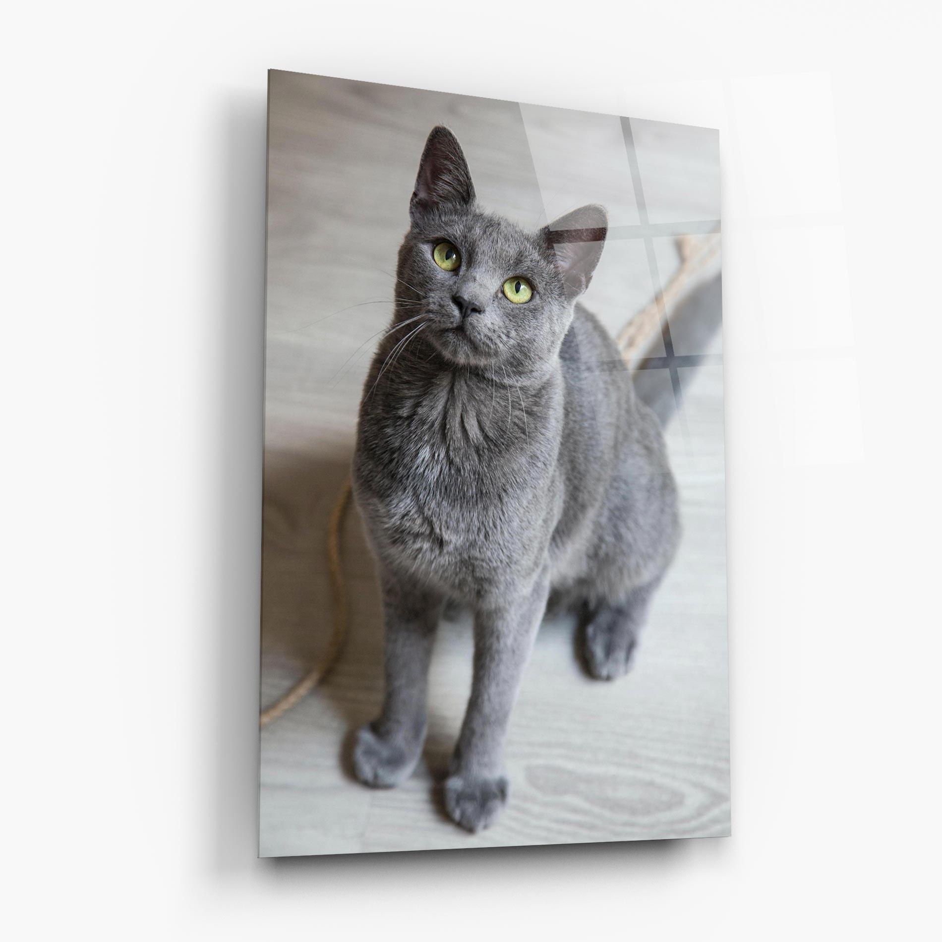 Glasbild Grey Green Cat Eyes mockup 6