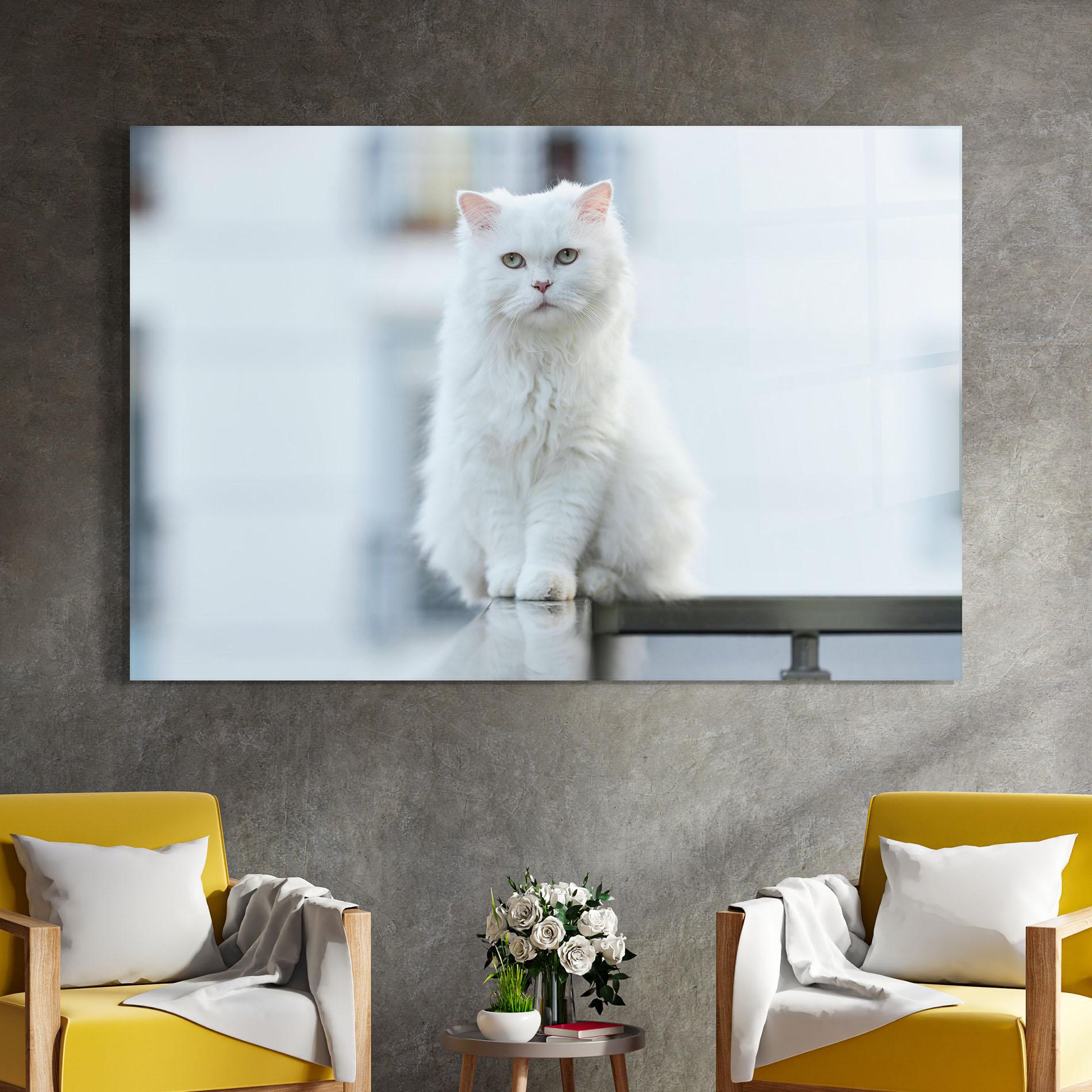 Glasbild Big White Cat mockup 4