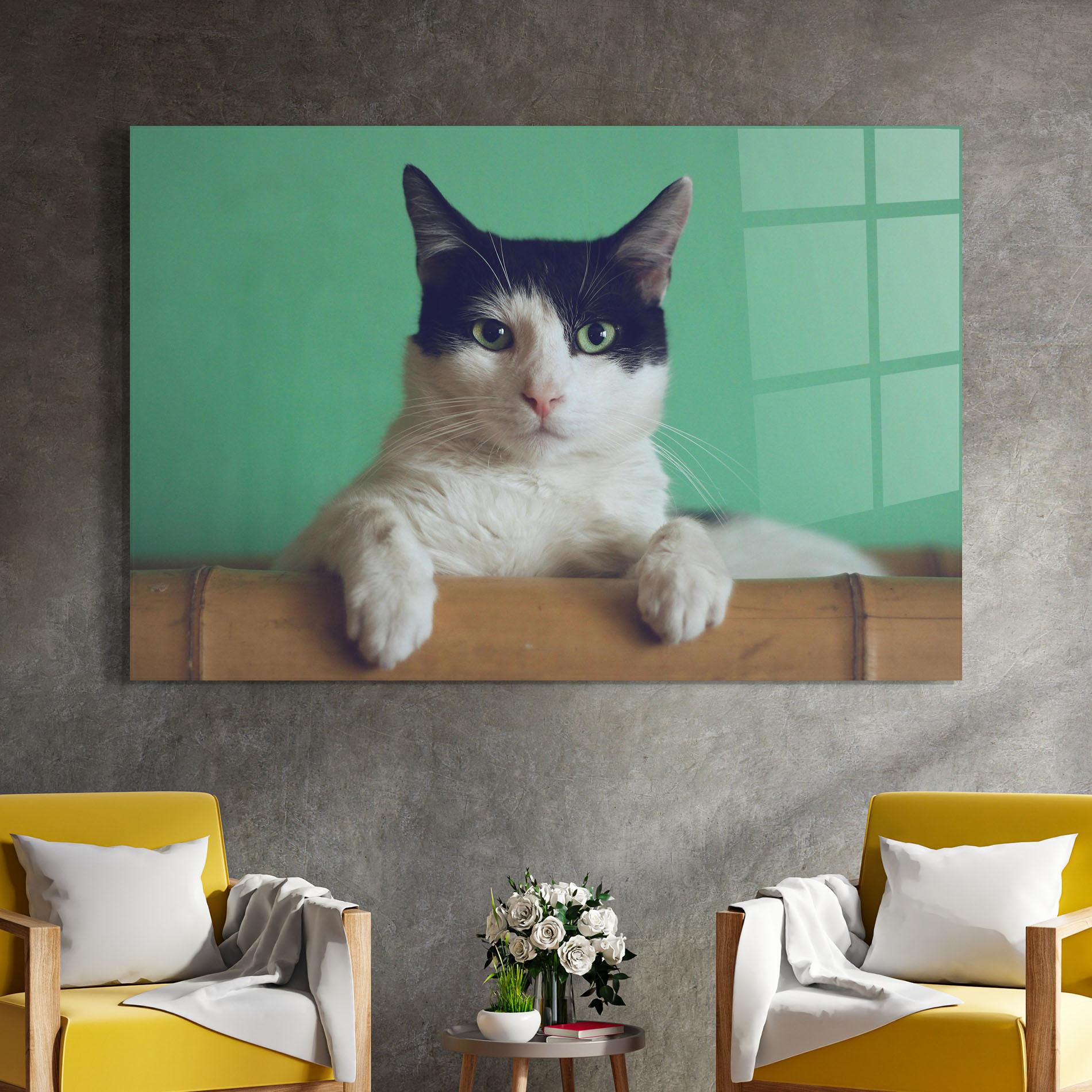 Glasbild Black White Cat mockup 4